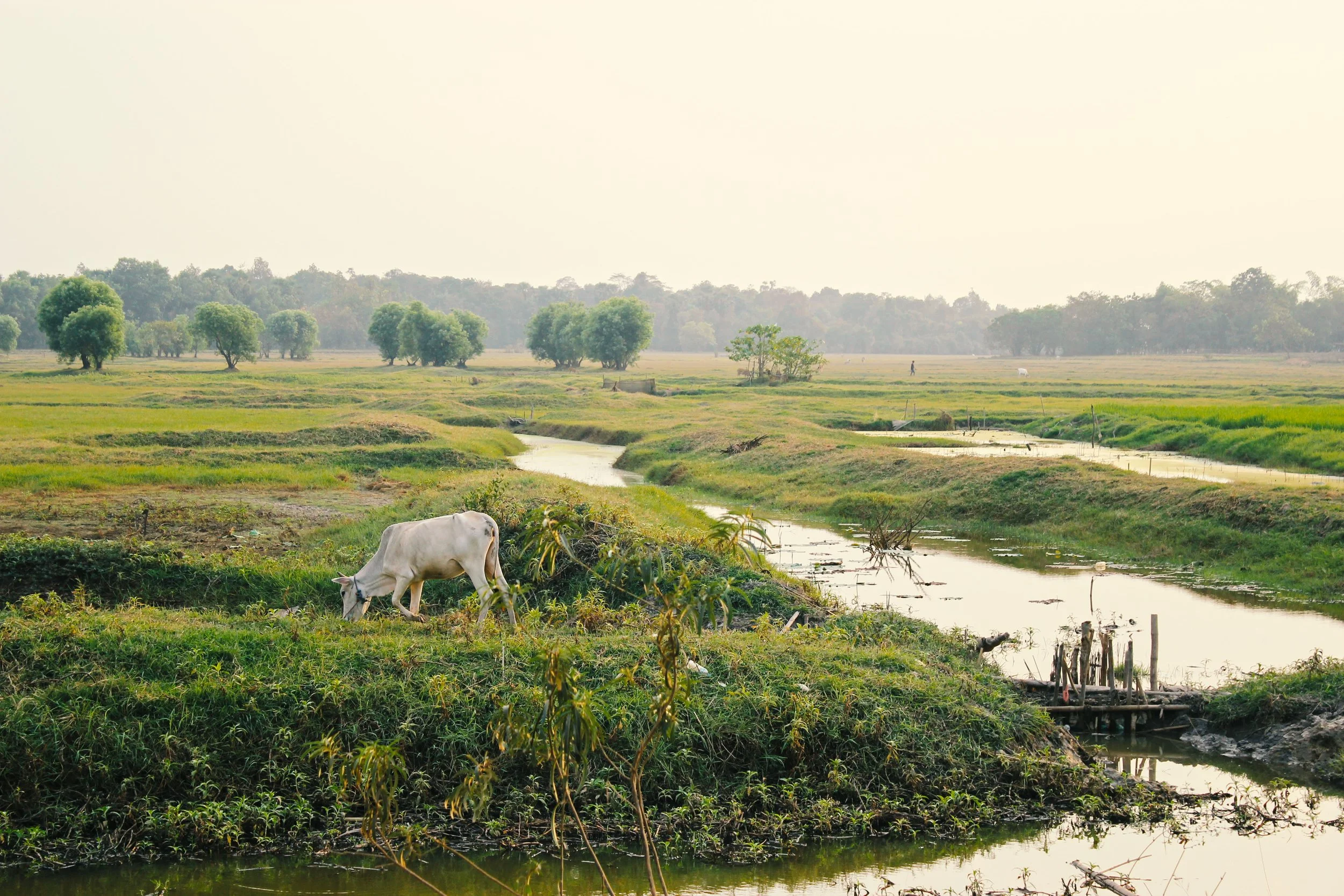 "Myanmar was my favorite."