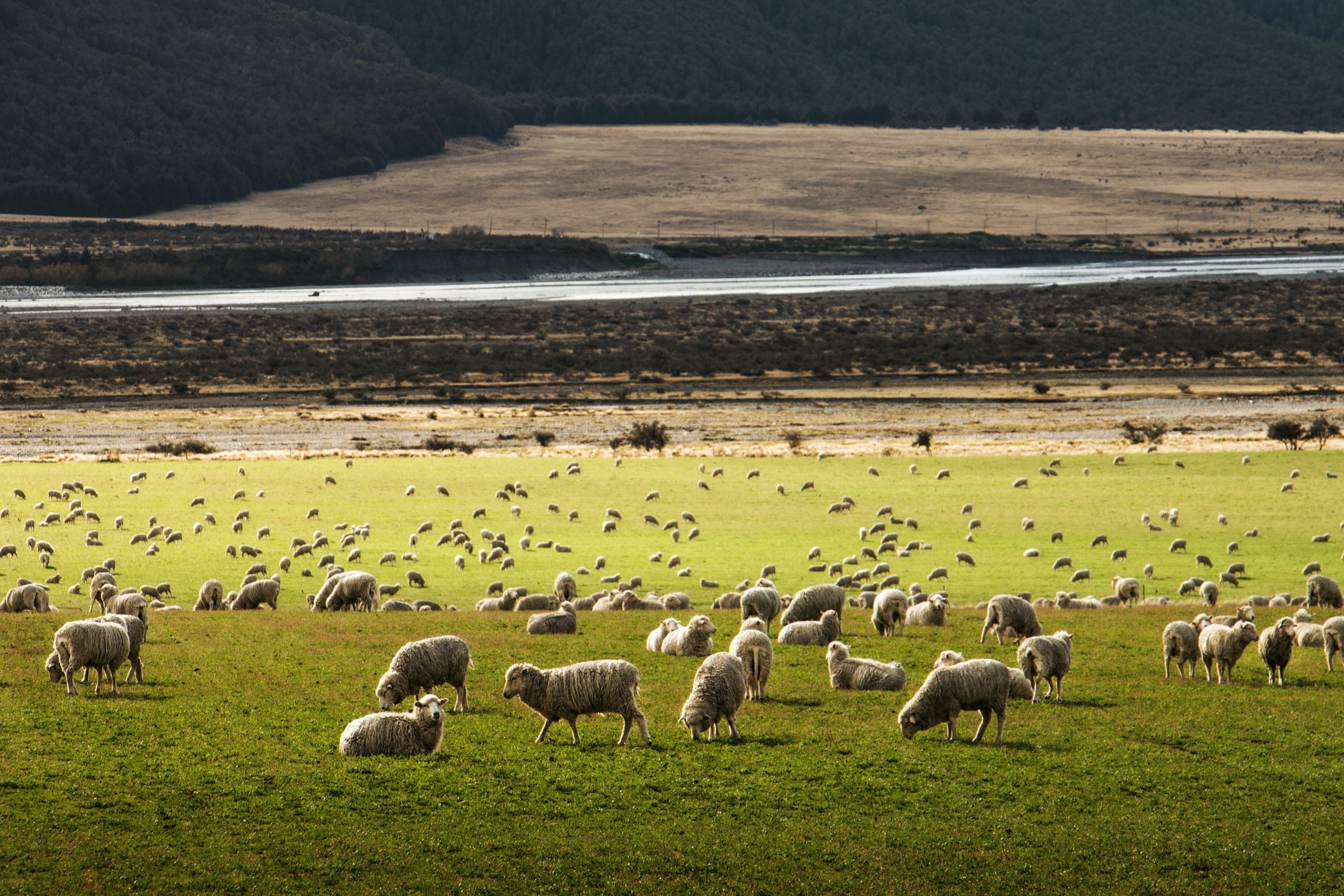 Relations with New Zealand