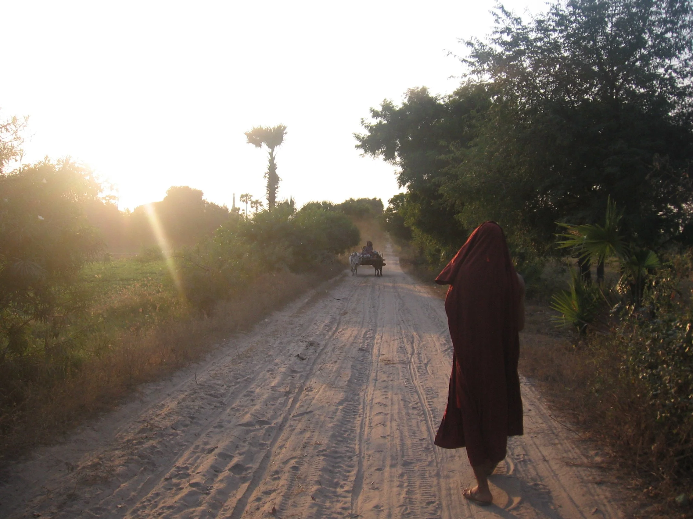 Ordination of 100 Novices in Webu Sayadaw’s Birthplace
