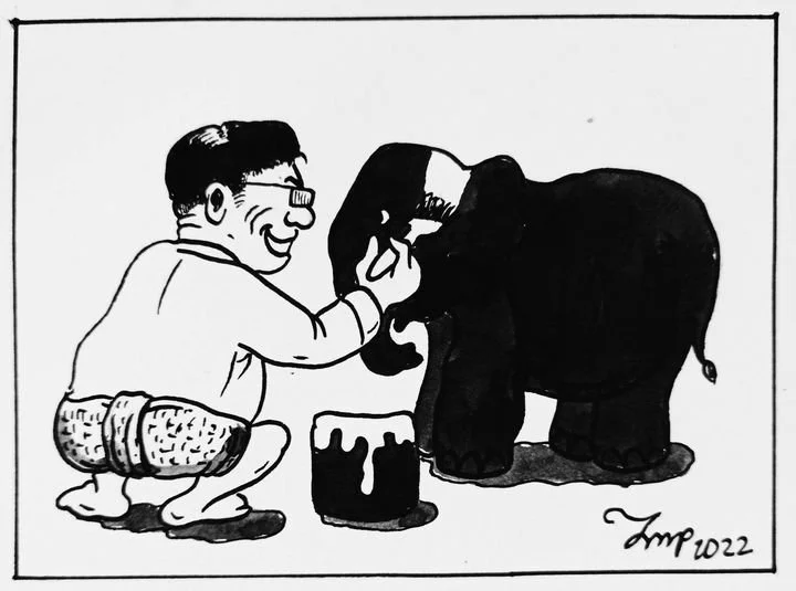 A White Elephant?