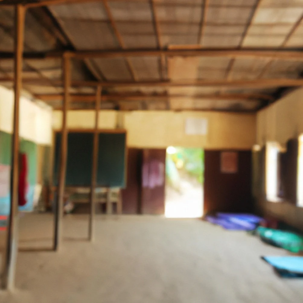 Letter from a Monastic Volunteer