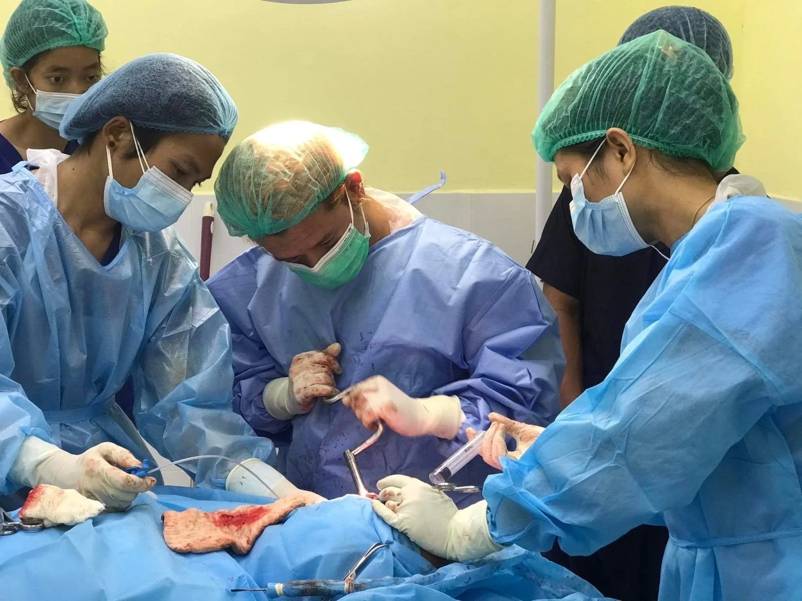 The Rise of Secret Medical Networks