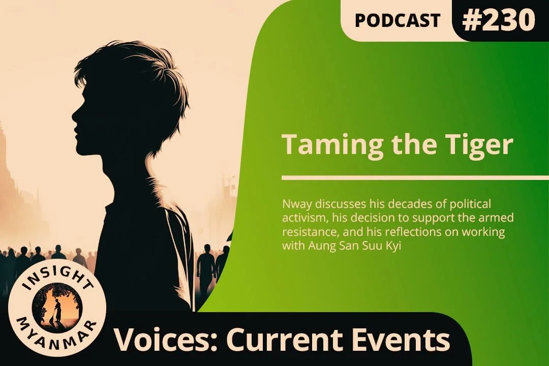 Transcript: Episode #230: Taming the Tiger