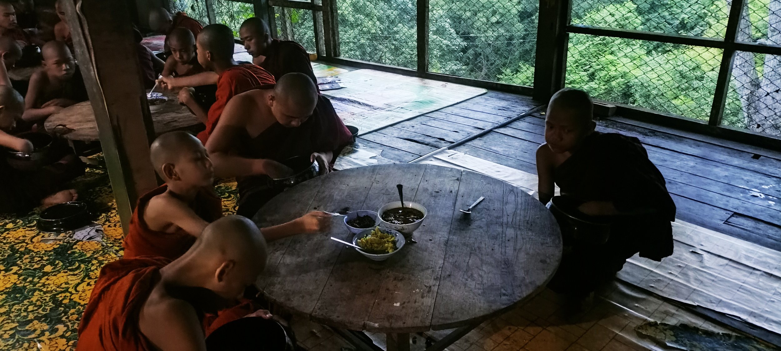 IMG20240829061221.jpg