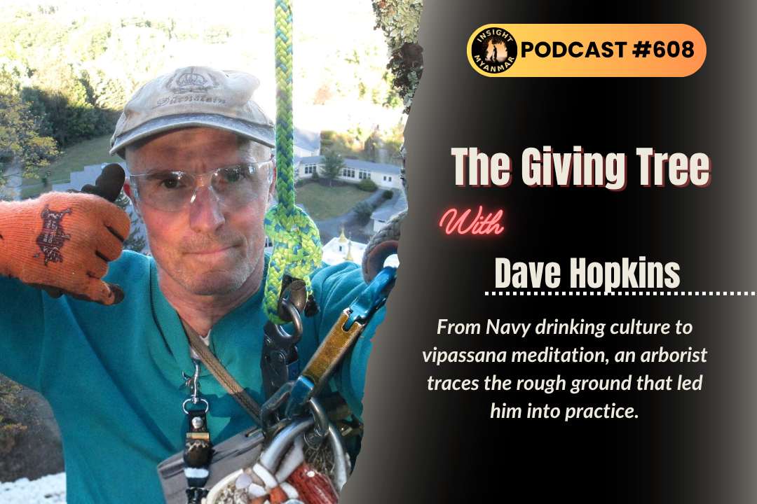 Episode #608: The Giving Tree