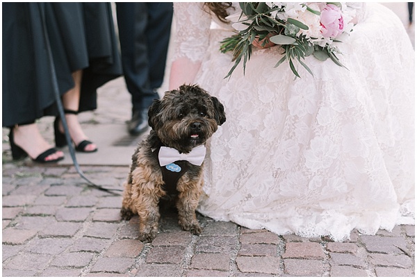 hochzeit_rittergut_lucklum_028.jpg