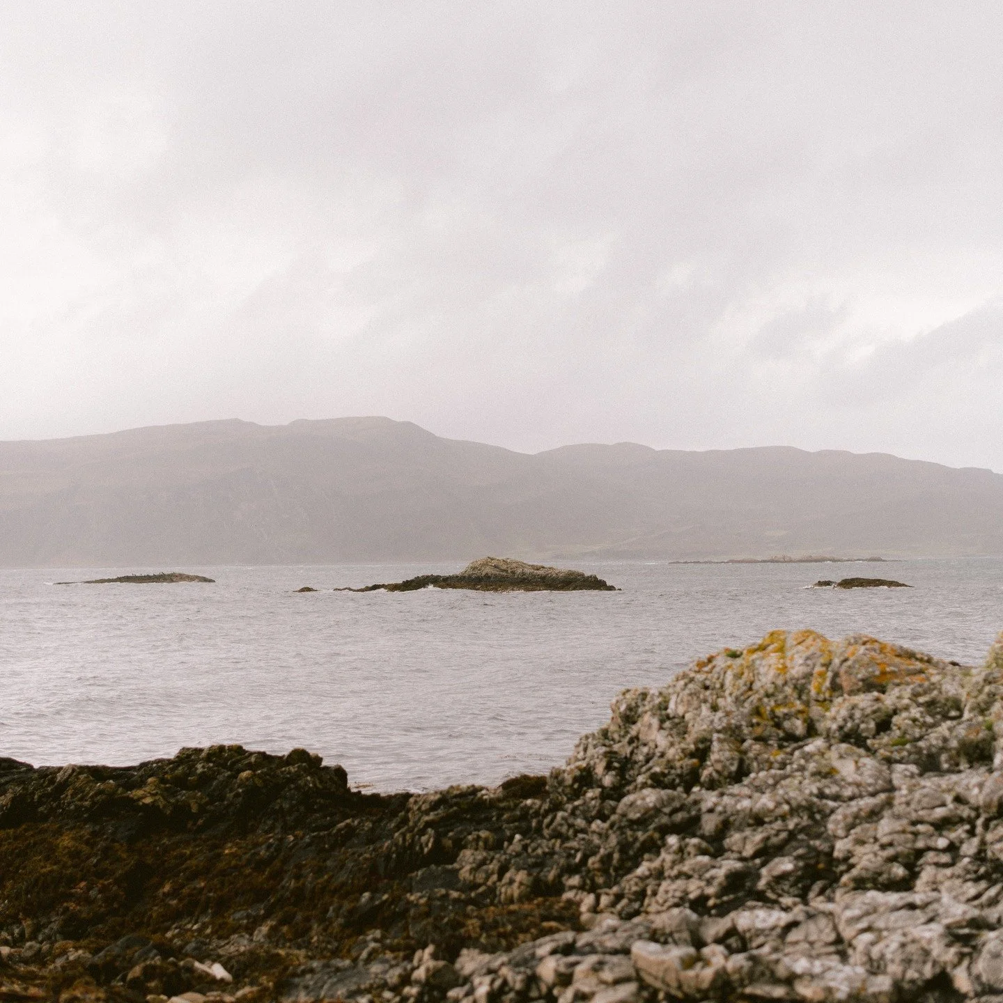 I'm back. Dort wo es beginnt: Umgebung und Atmosph&auml;re. Und Hochzeitsfotografie, die davon erz&auml;hlt. #hochzeitsfotografiehannover #elegantehochzeit #schlosshochzeit #hannoverhochzeit #editorialwedding