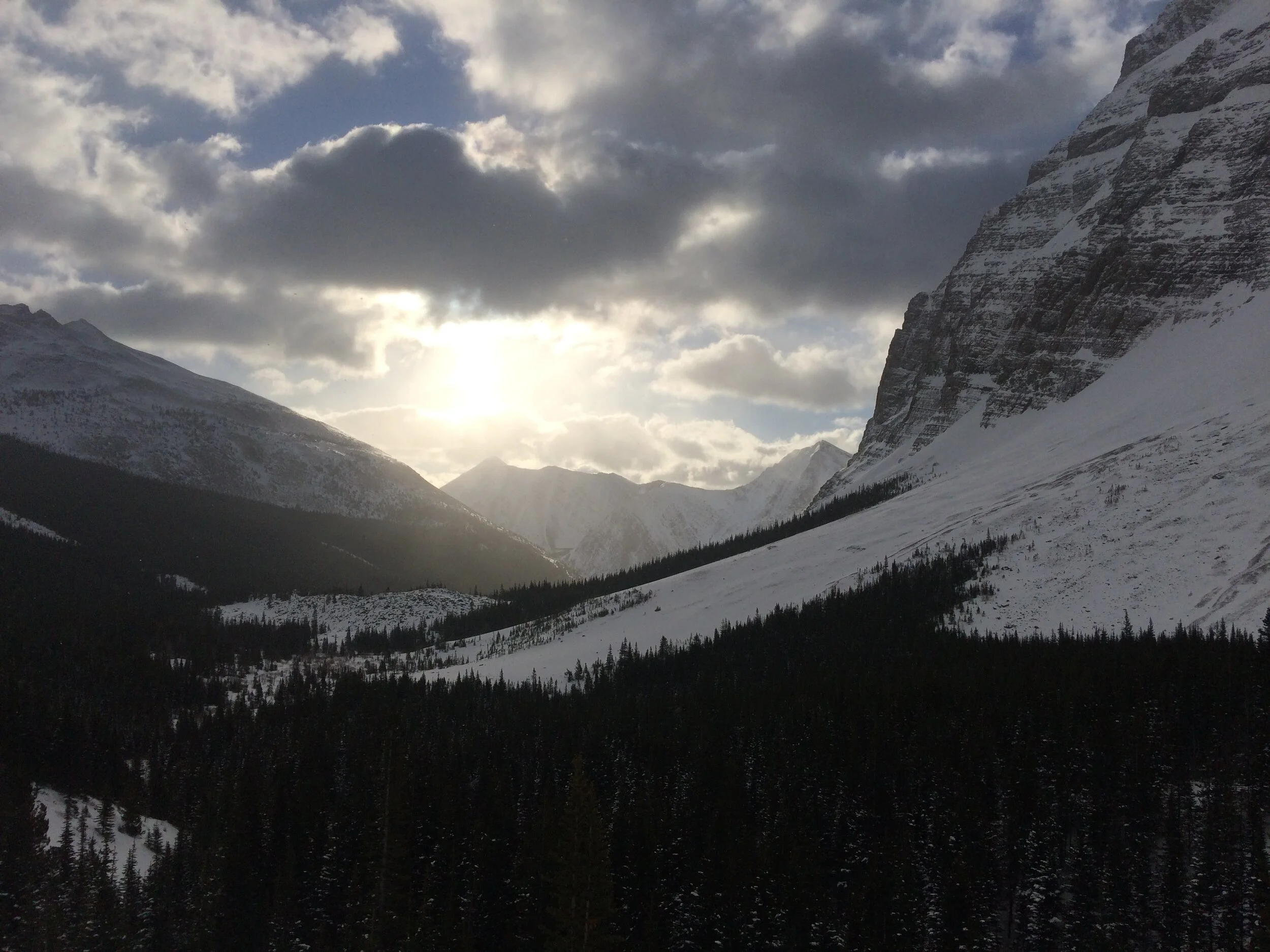 319696A9-C27C-4186-B31E-31AB869907A3.jpeg