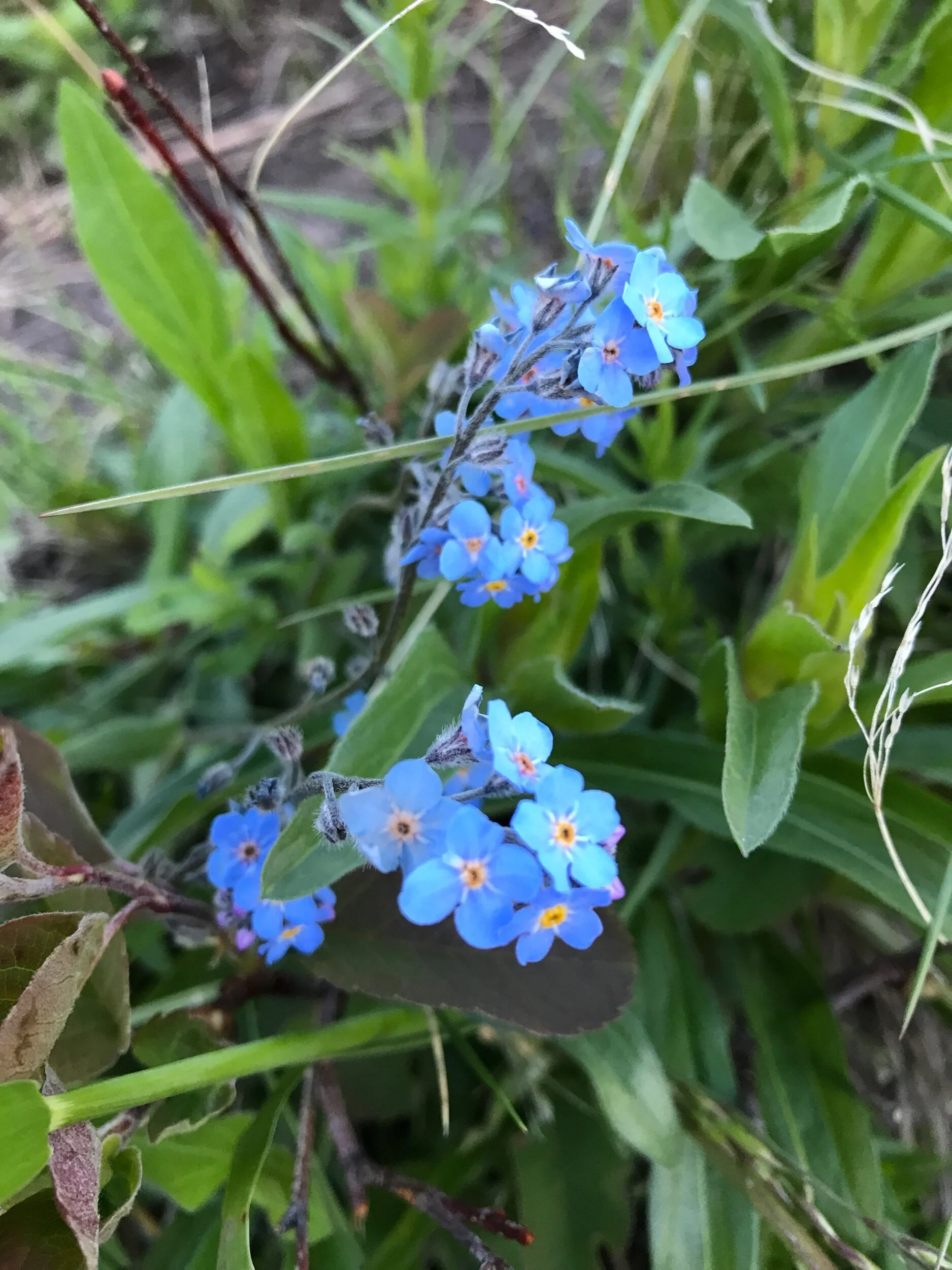IMG_0405.jpeg