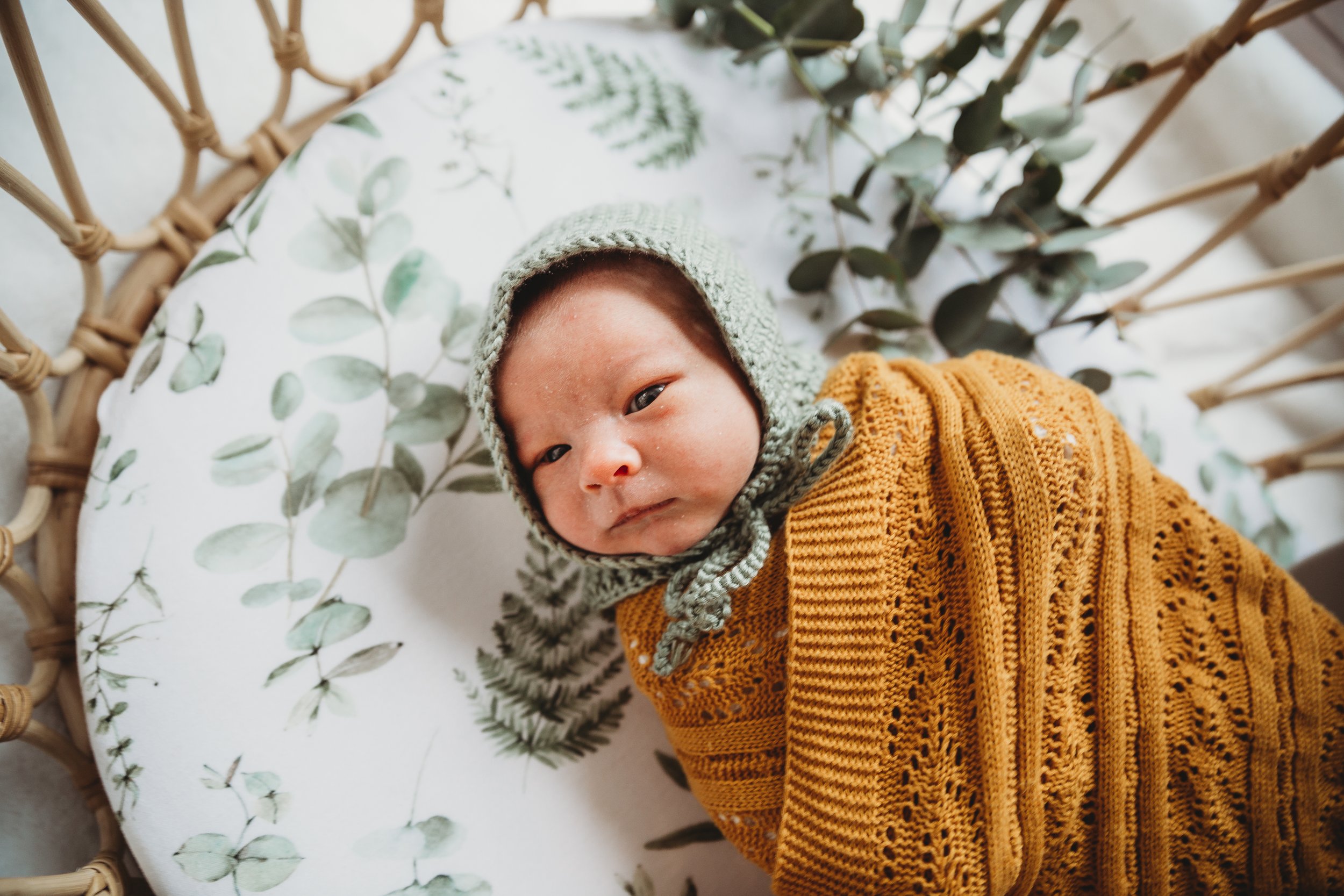 newborn (1 of 1)-19.jpg