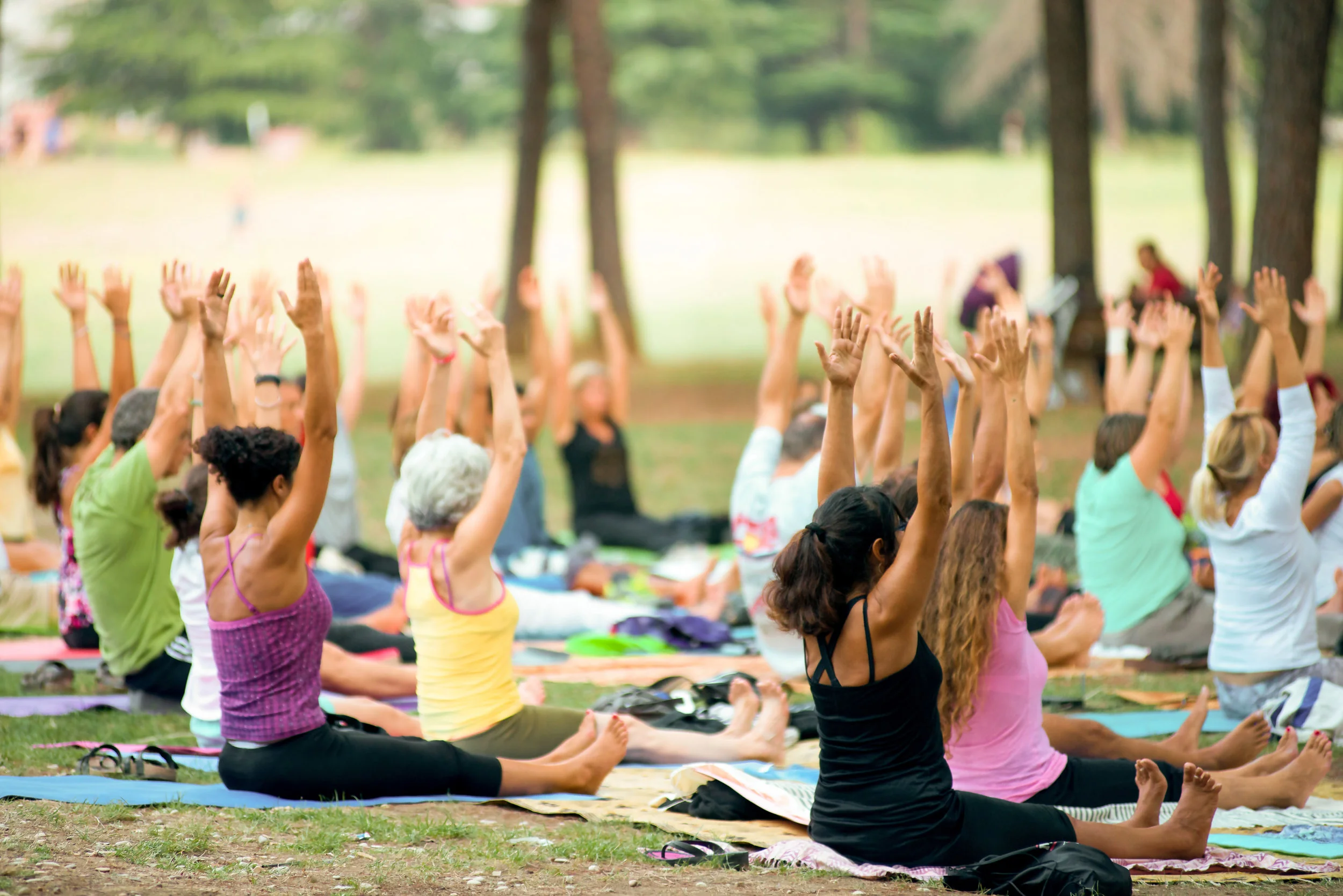 peopledoingyogainaparkatsunset(3).jpg
