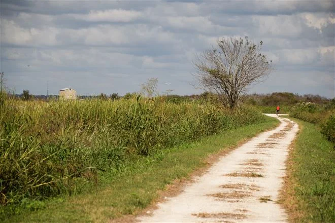 lake apopka loop trail.png