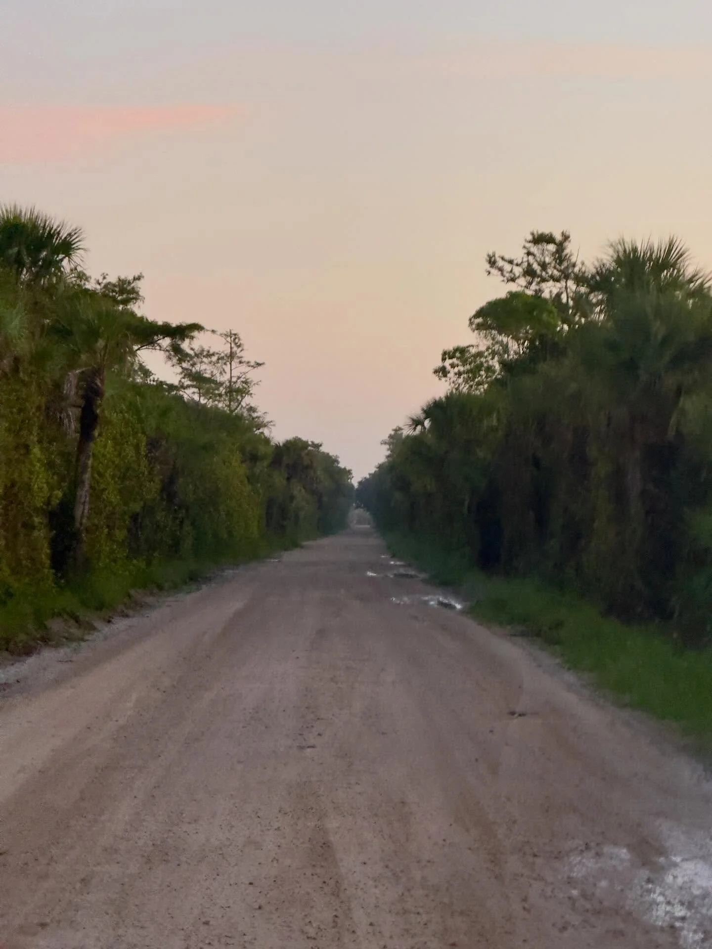 With Uriah going south to visit with his grandpa and Toni away to Gainesville, I was left to my own devices and decided to complete many tasks at one time.  First, I revisited some of the Florida Divide, routine re-ride, normal stuff, part of the job