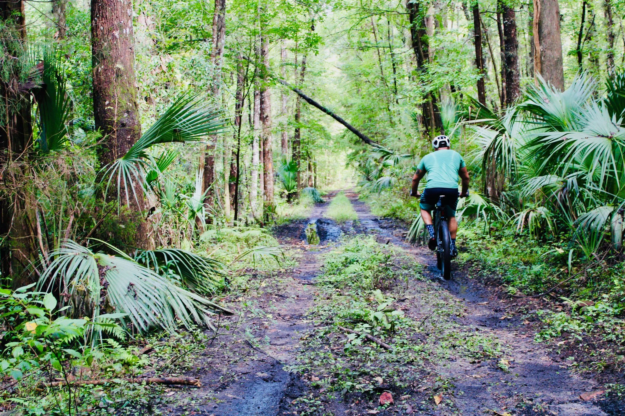 This year, the HuRaCaN turns 16, and in honor of such a momentous occasion, we are hosting our first-ever EXPO at the event.  Because it is the first year we are doing an expo, there is no fee to be a vendor at the expo; there are other requirements 