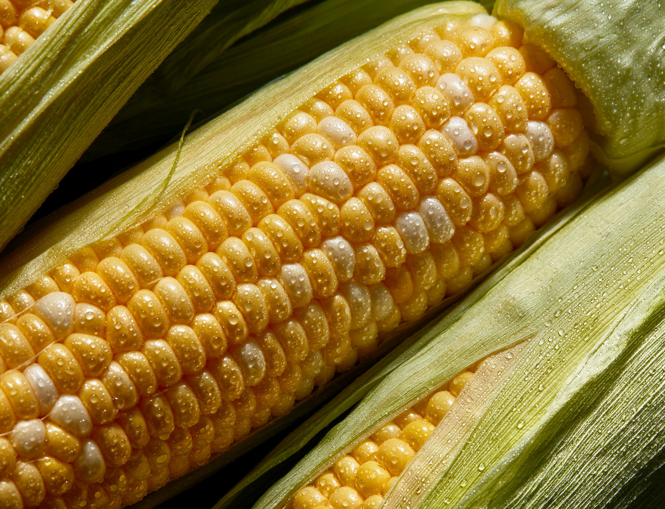 Fresh_Corn_187_4.jpg