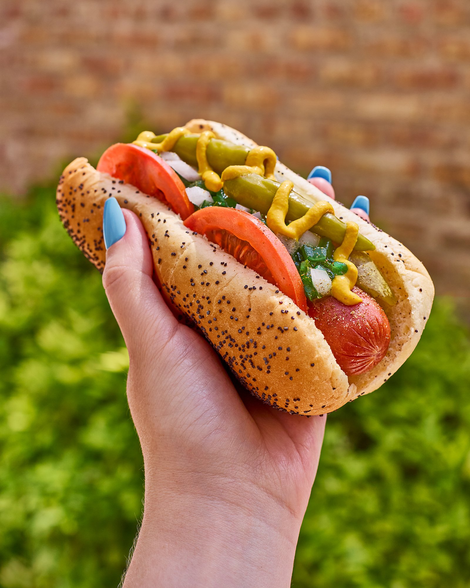 Chicago_Dog_Hero_351.jpg