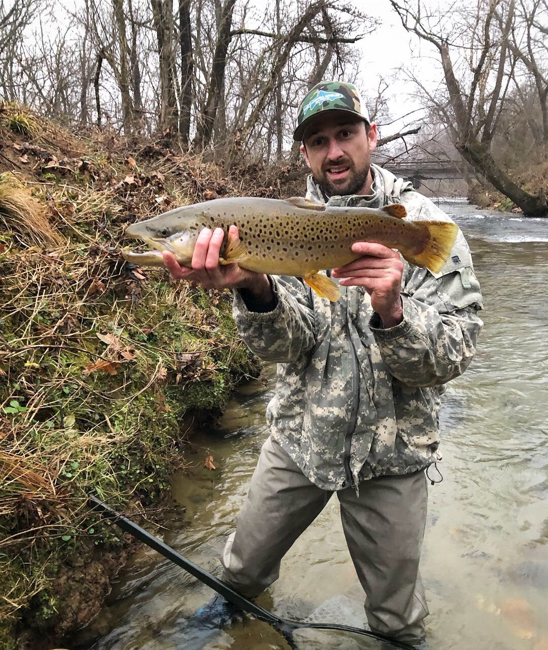 Catawba River Brown Trout