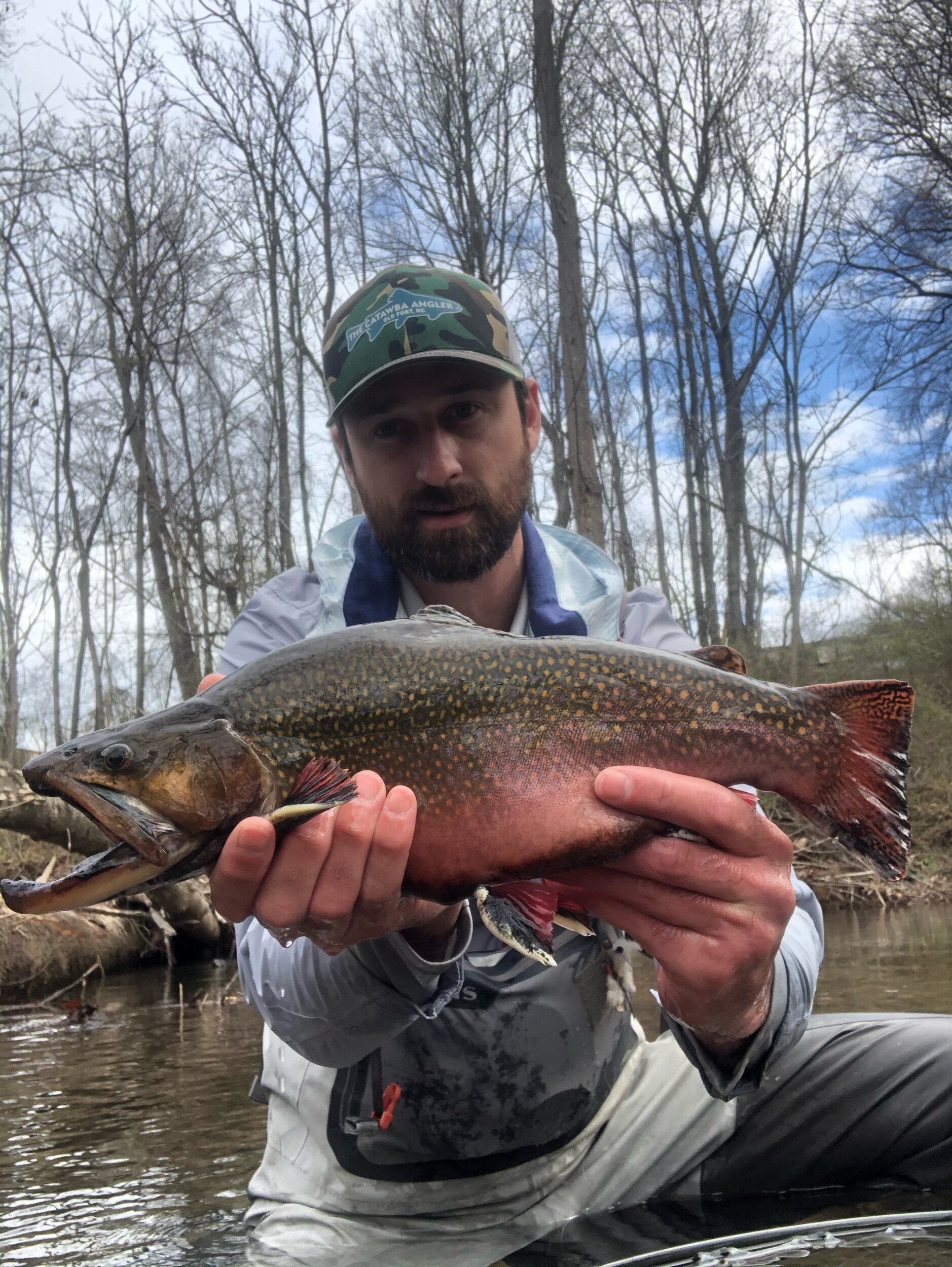 North Carolina Brook Trout — The Catawba Angler