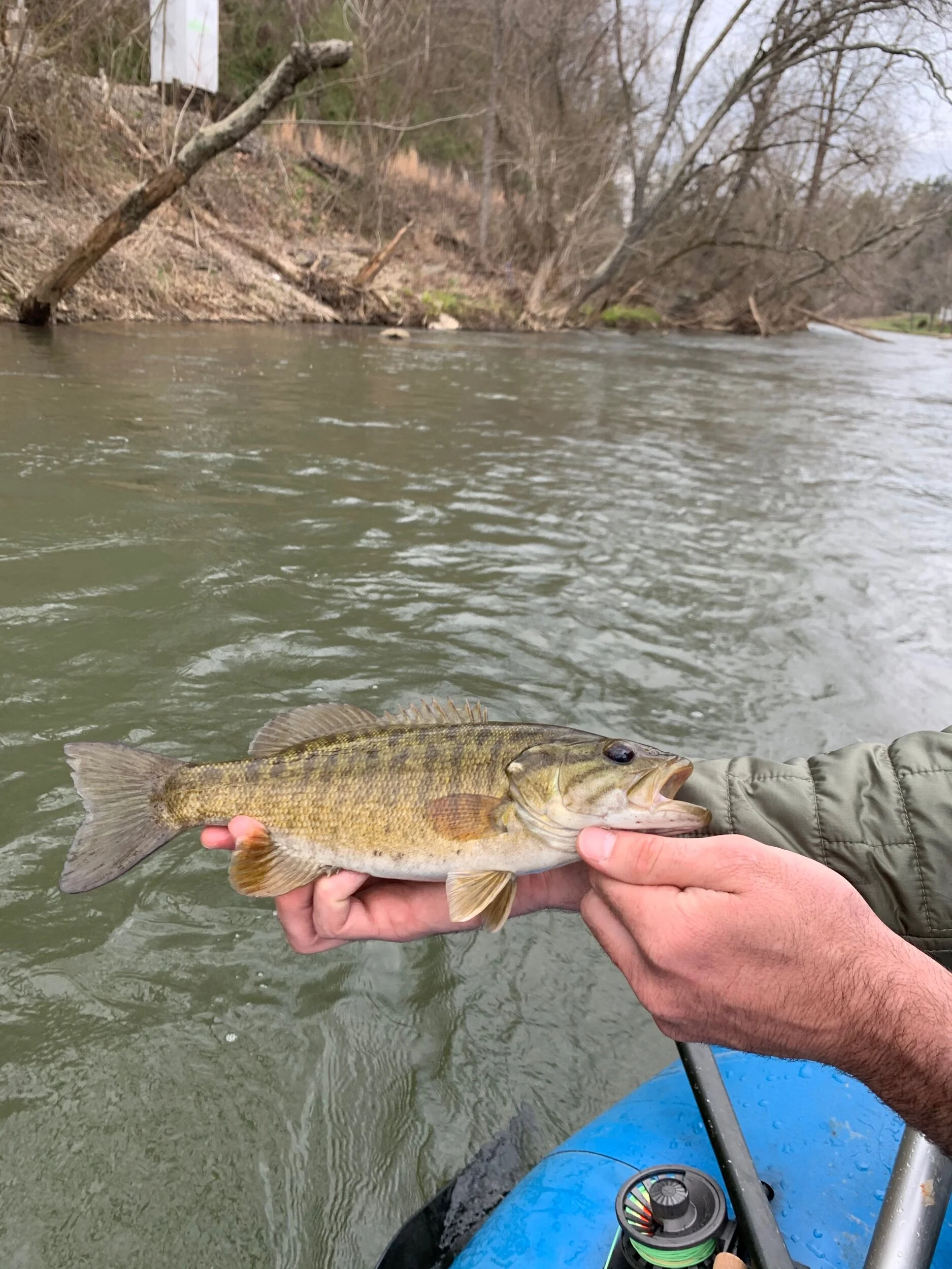 French Broad River Fishing — The Catawba Angler