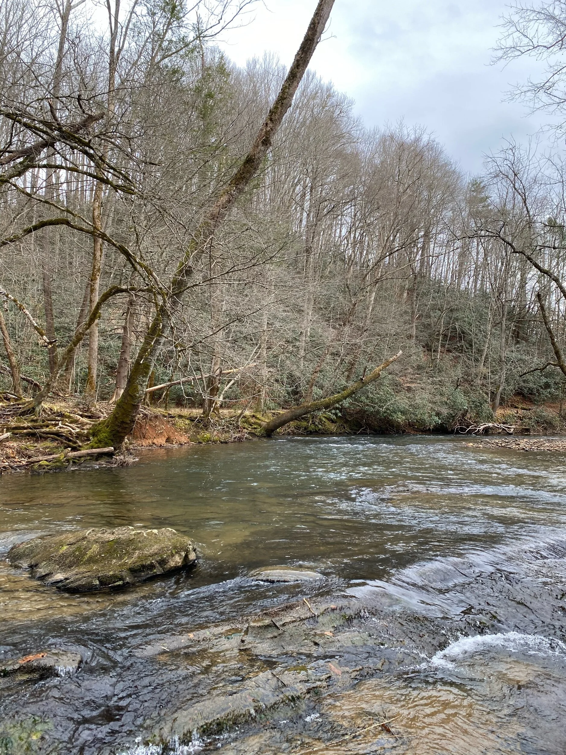 Winter Trout Fishing in Western North Carolina — The Catawba Angler