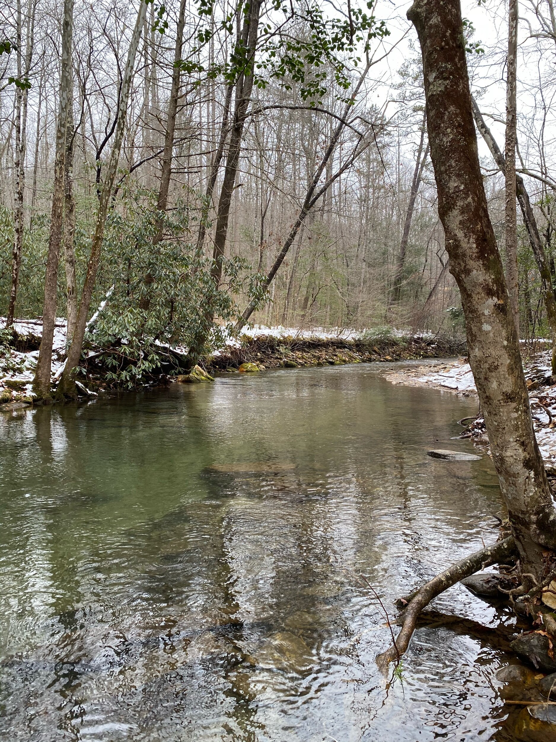 Winter Fishing in Western North Carolina