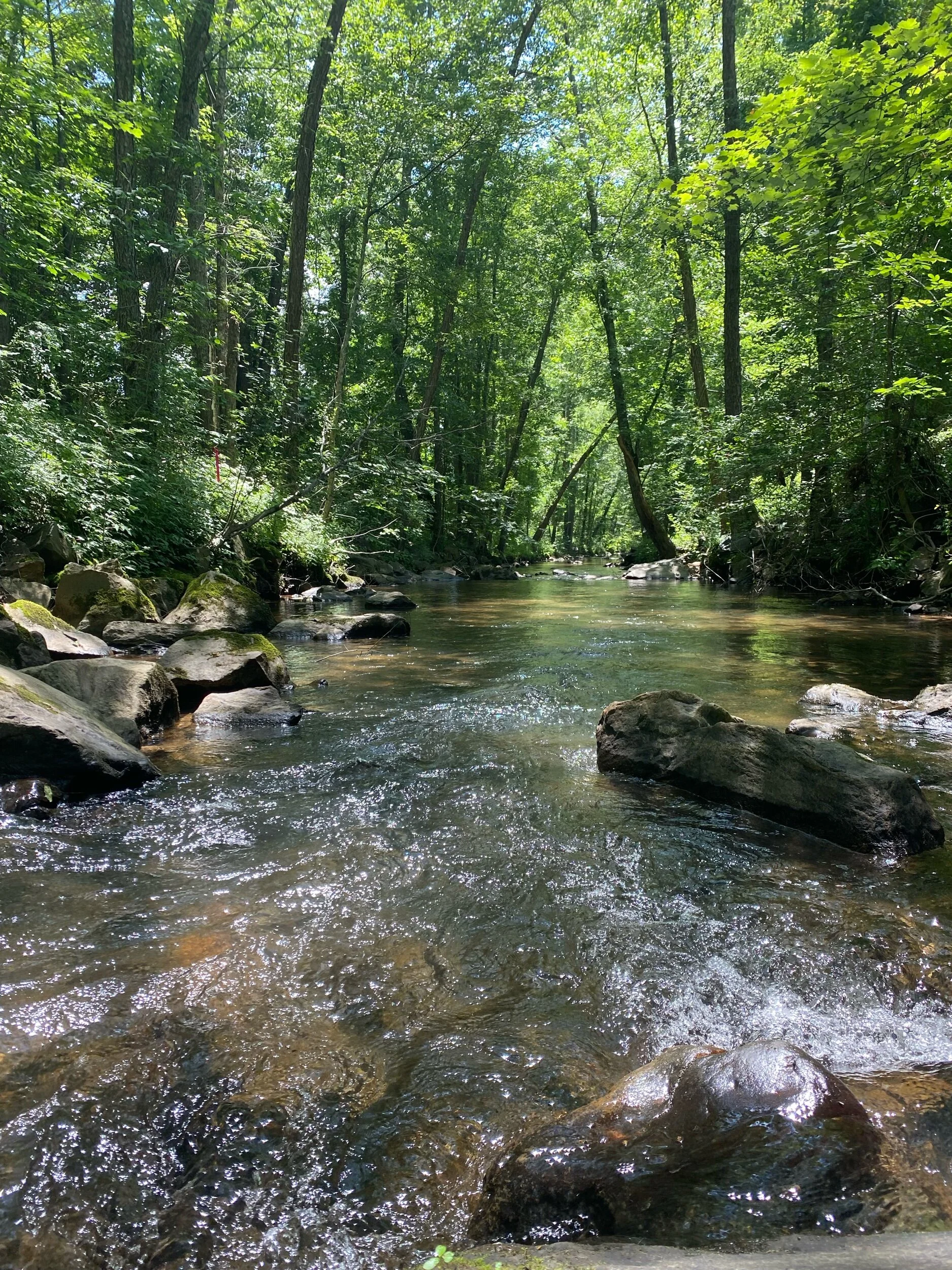 Swannanoa River Fishing — The Catawba Angler