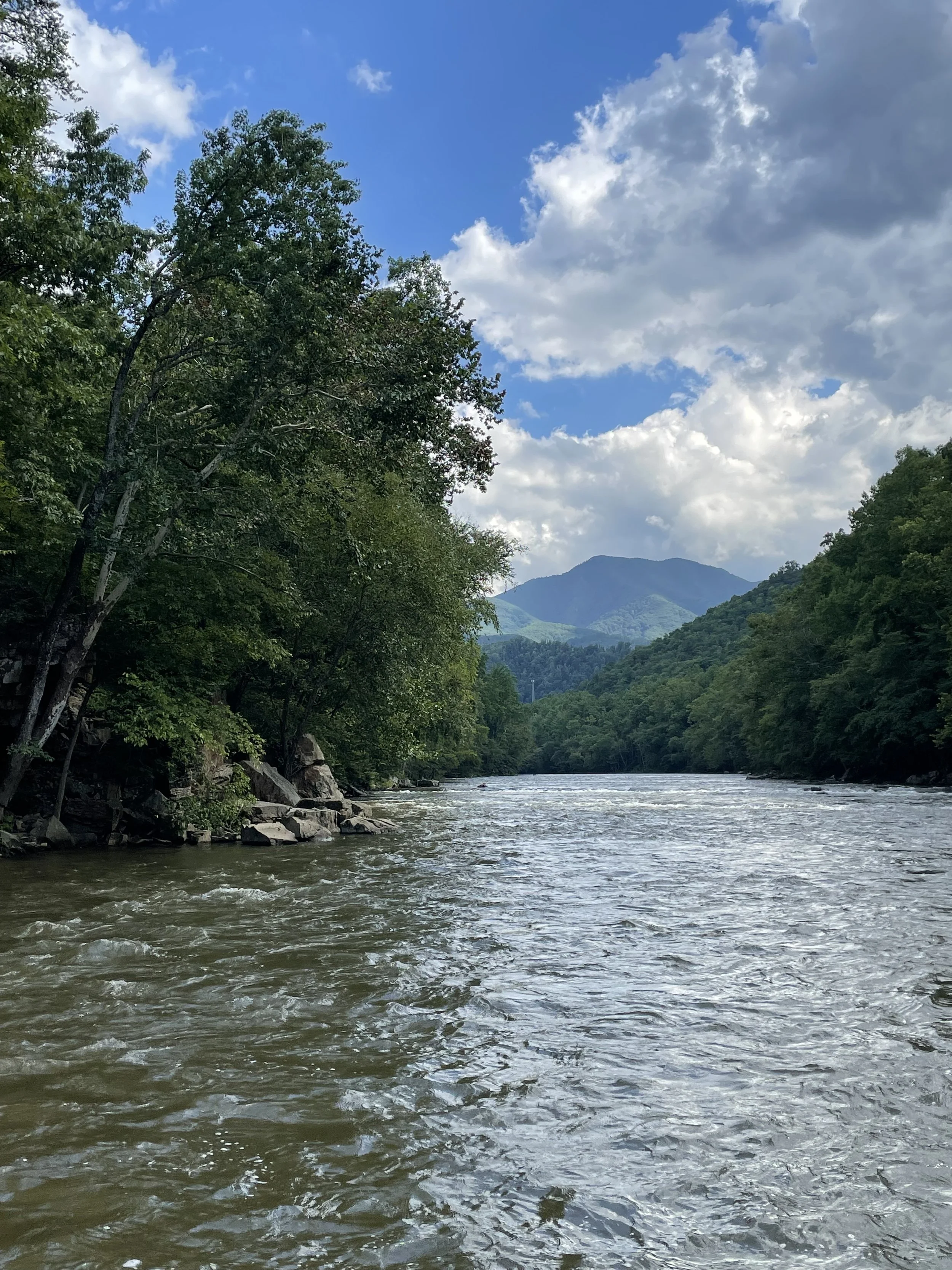 Bass Fishing Guide in North Carolina — The Catawba Angler