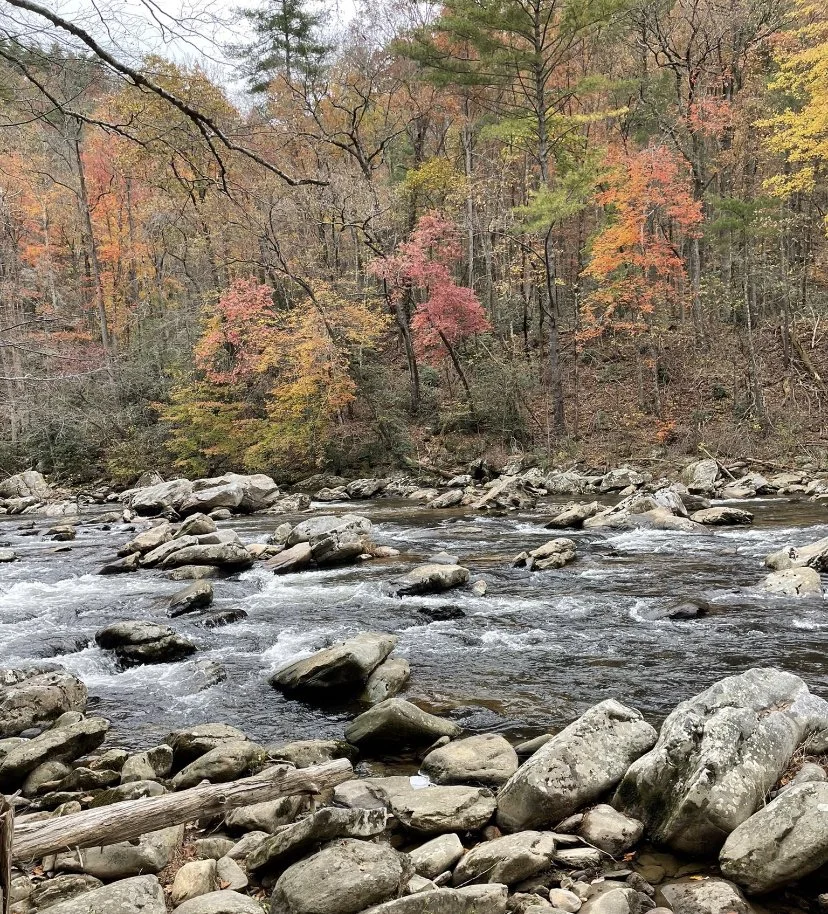 Linville Fishing — The Catawba Angler