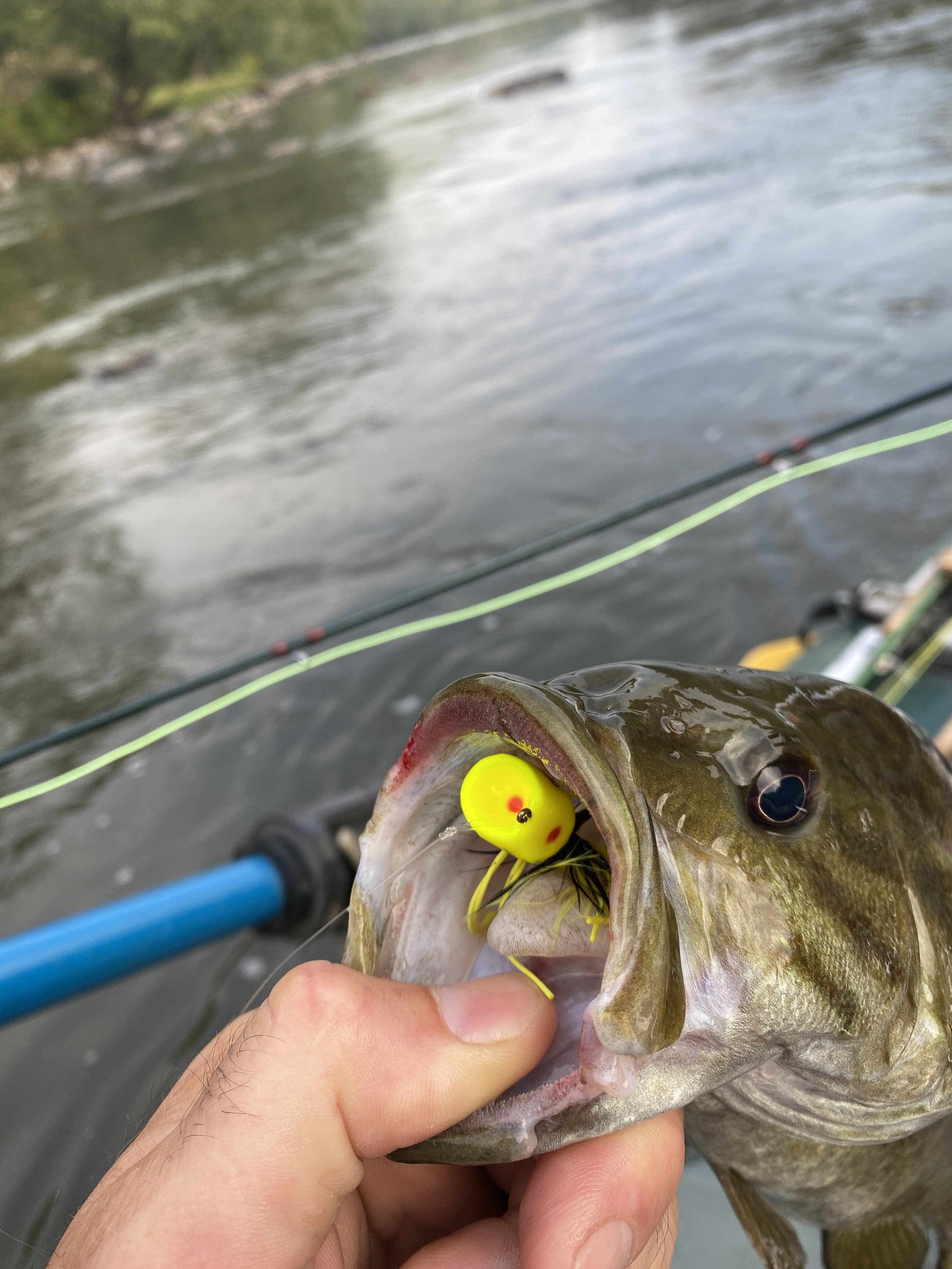 Try three baits for March bass - Mississippi Sportsman