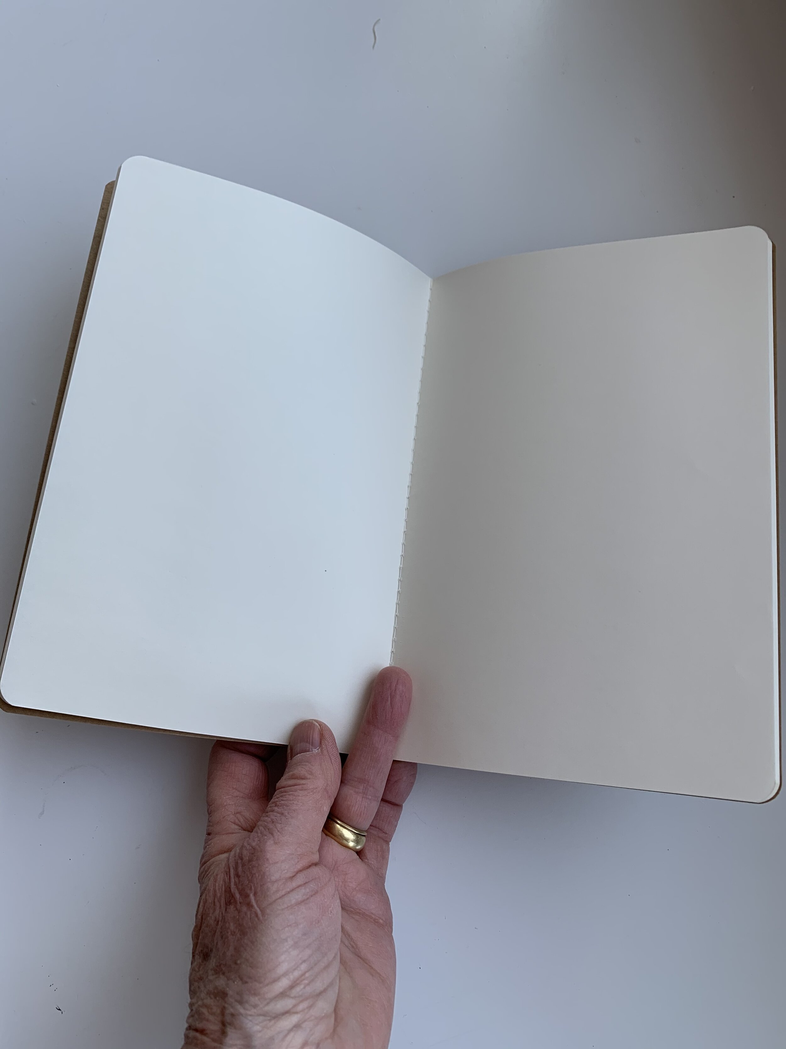 Inside Journal.jpg