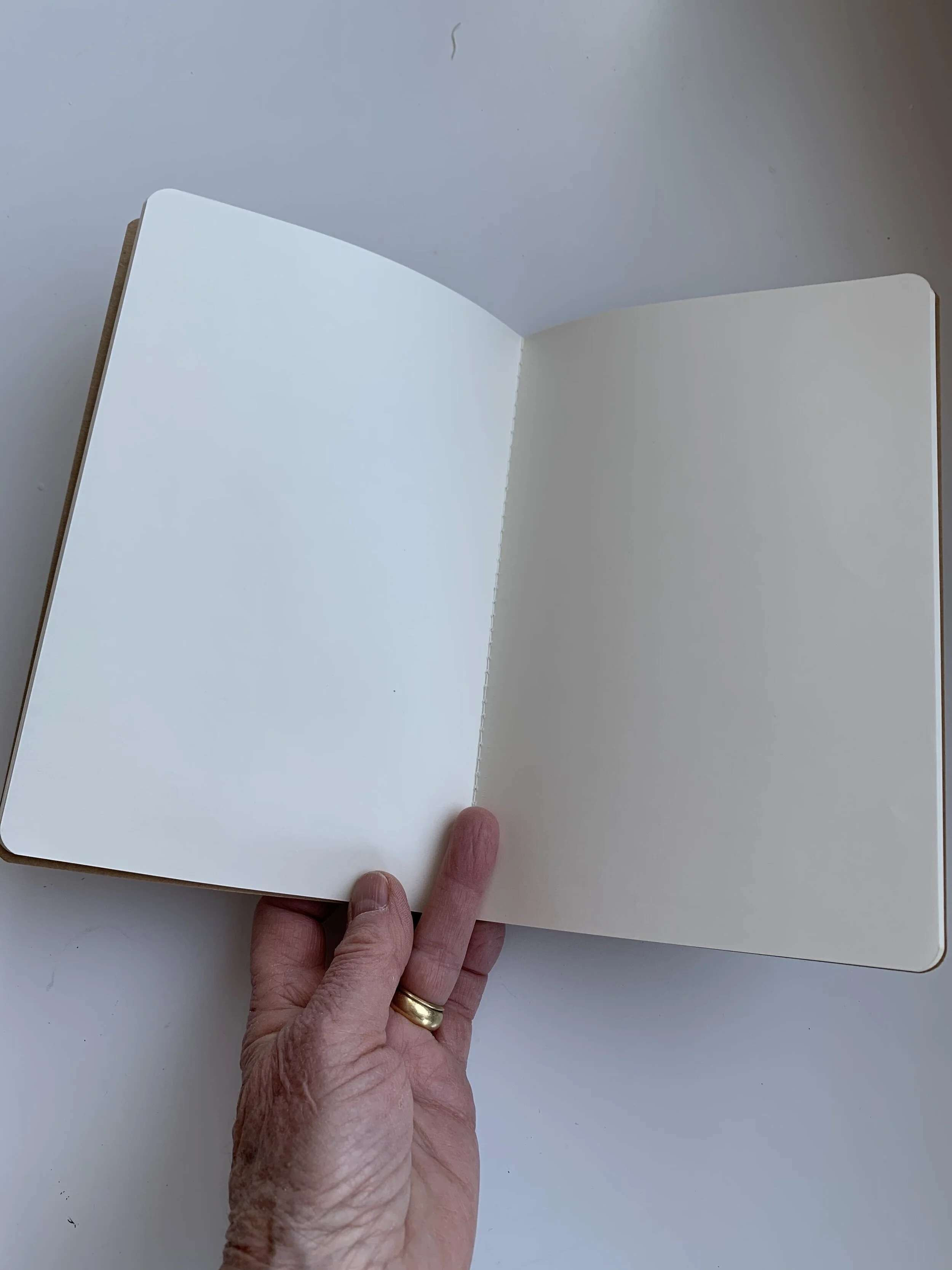 Inside Journal.jpg