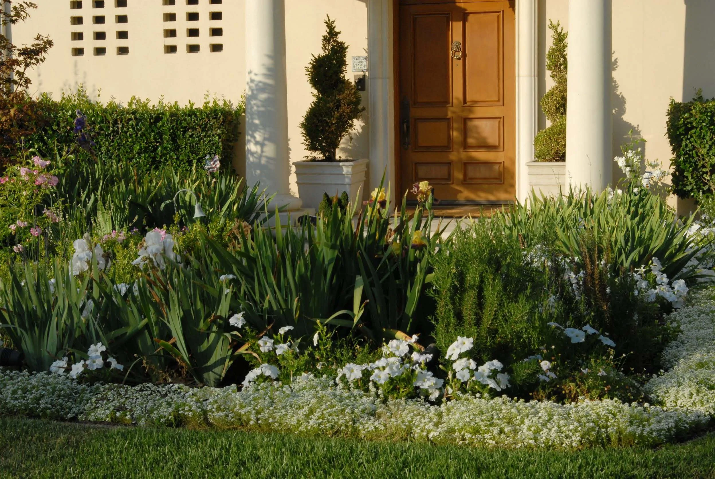 Chester Presentation_Page_5_Image_0001.jpg