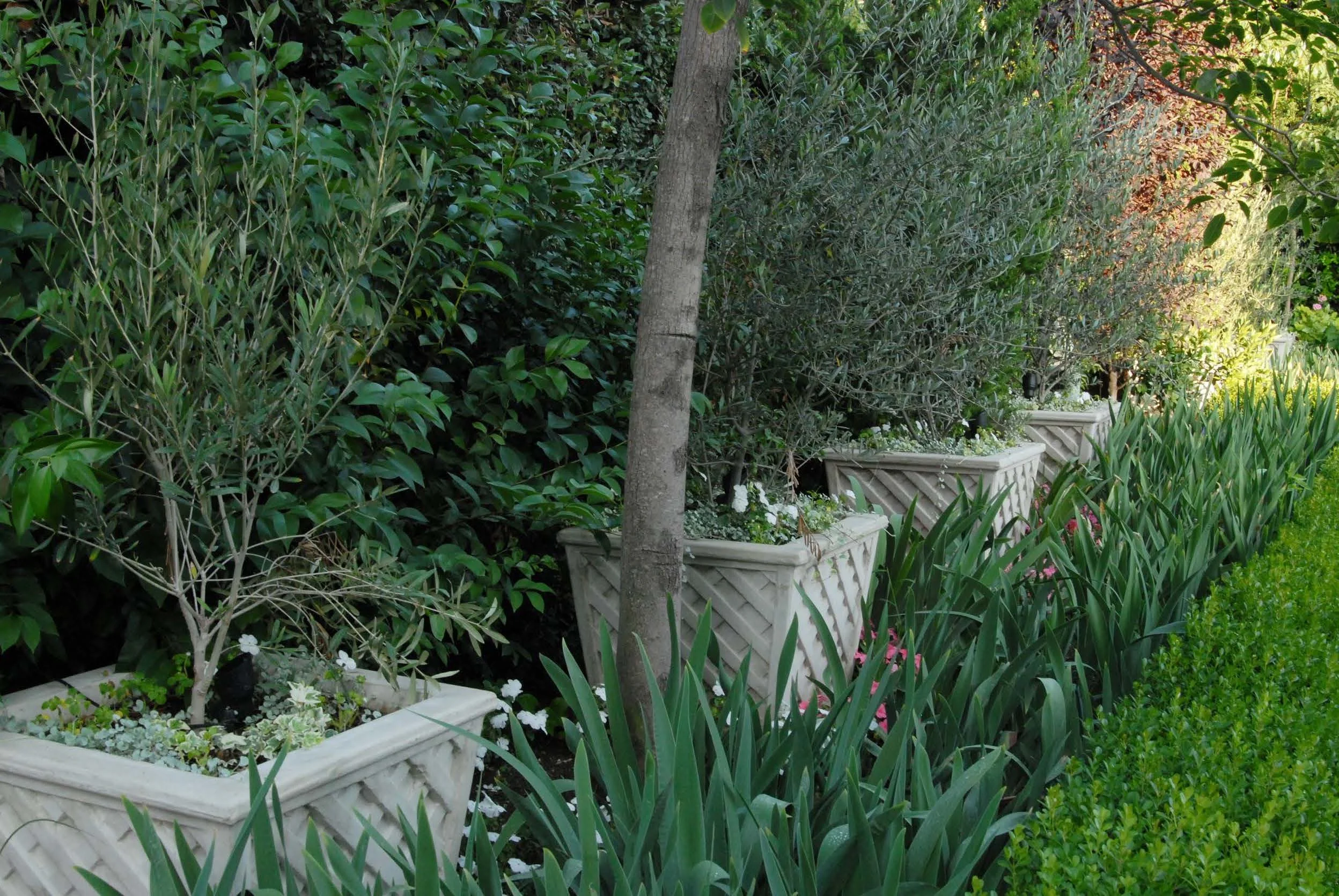 Chester Presentation_Page_7_Image_0001.jpg