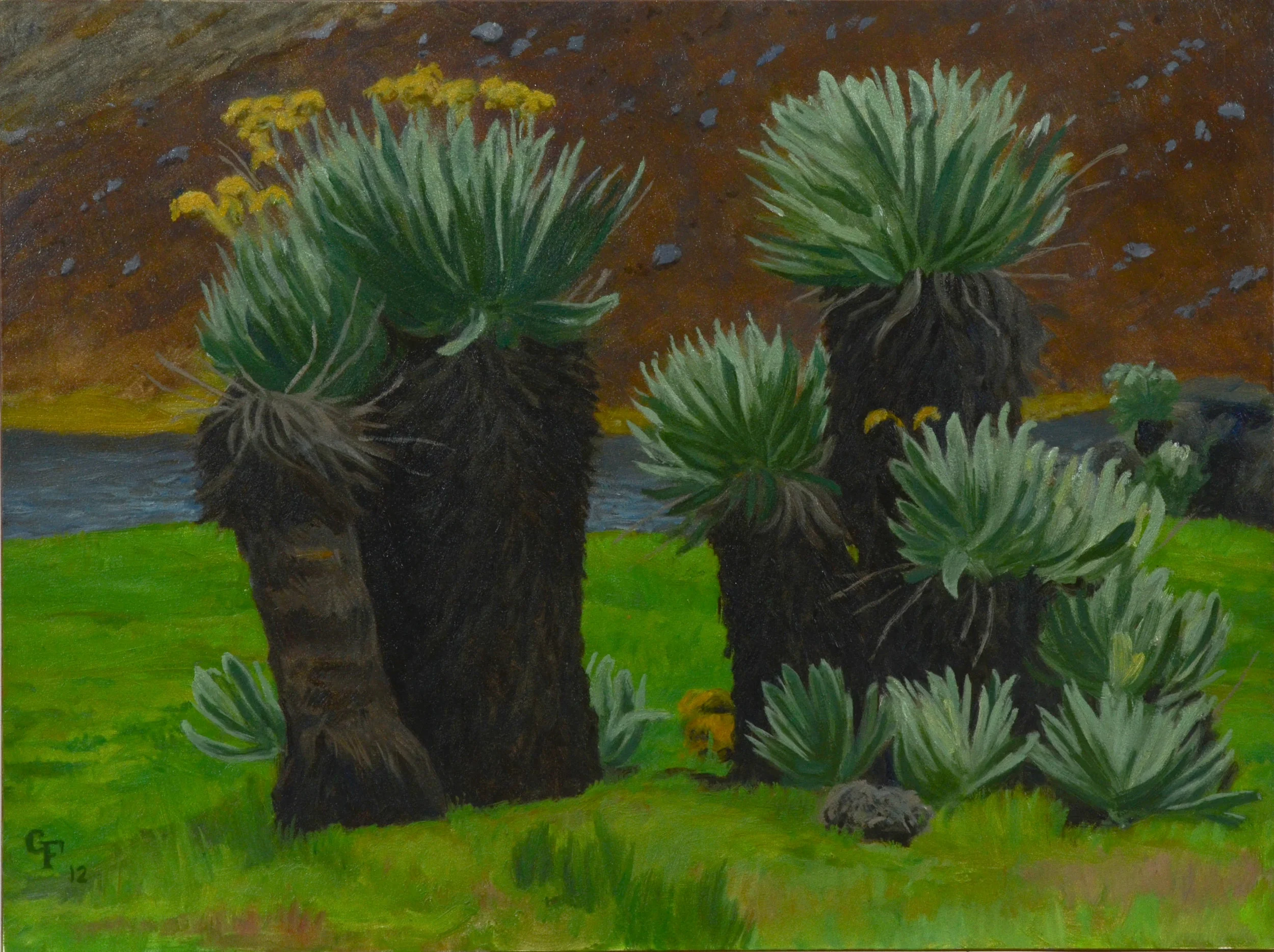 Weird Plants, Colombia, o/p, 9" x 12"