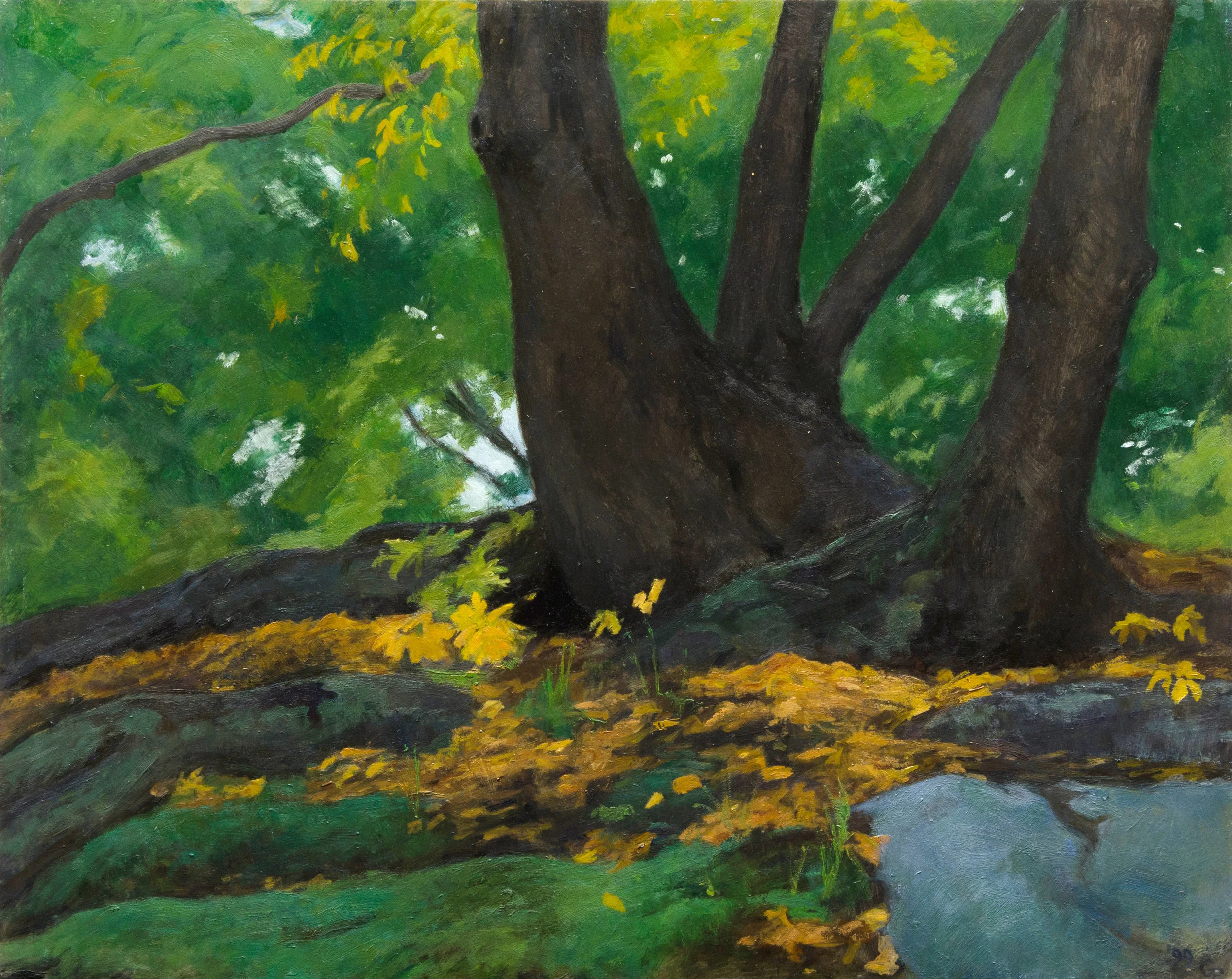 Roots and Rocks, oil on panel, 16" x 20"