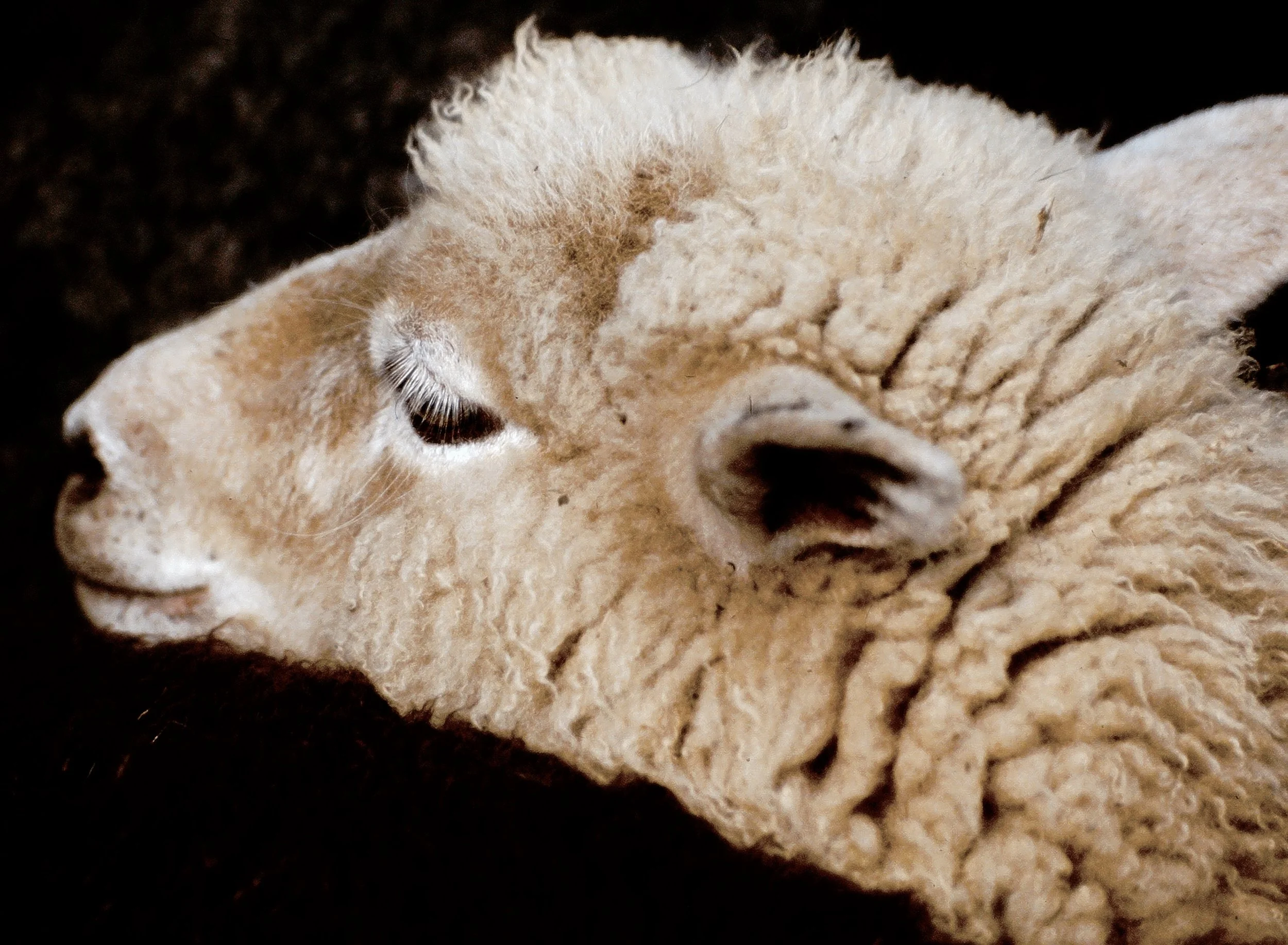 2000-01-01 01.54.16.jpg