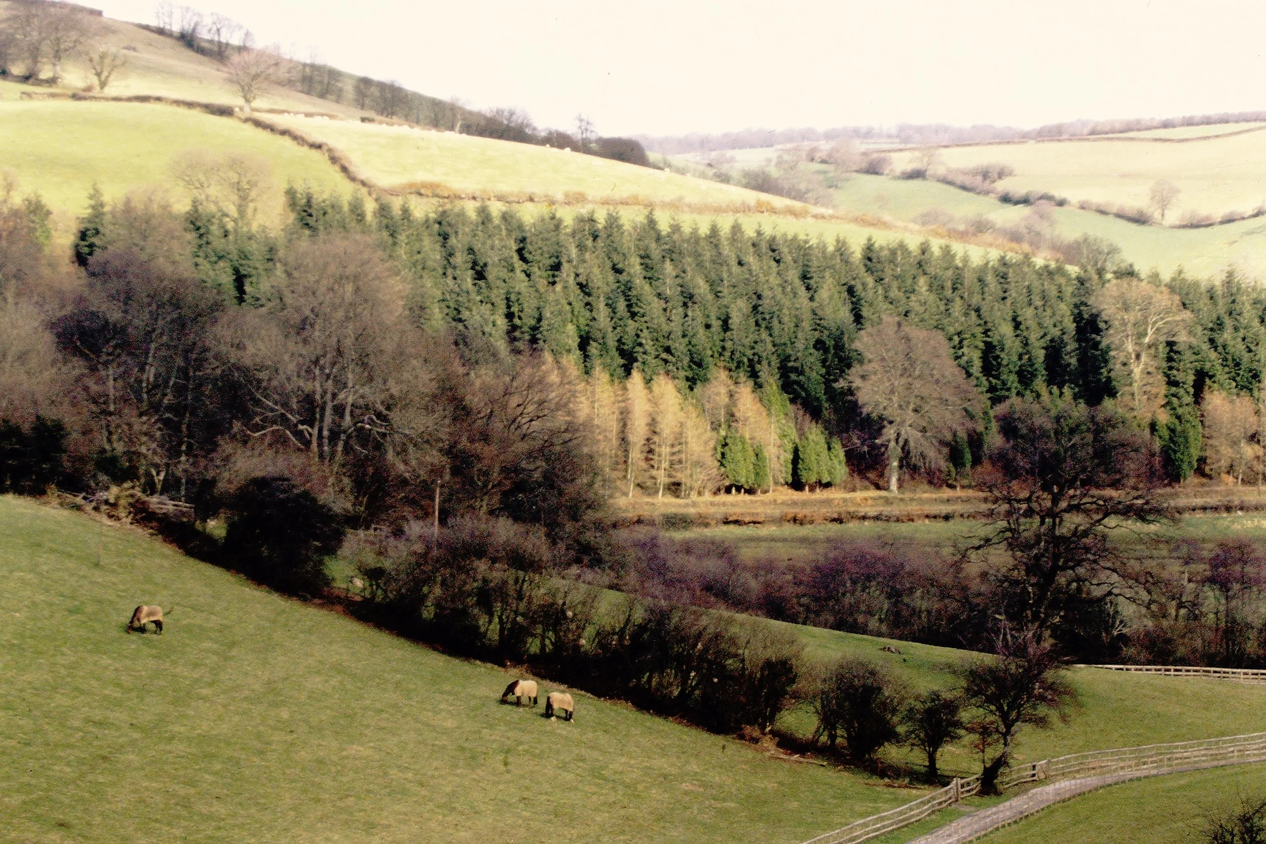 2000-01-01 04.56.04.jpg