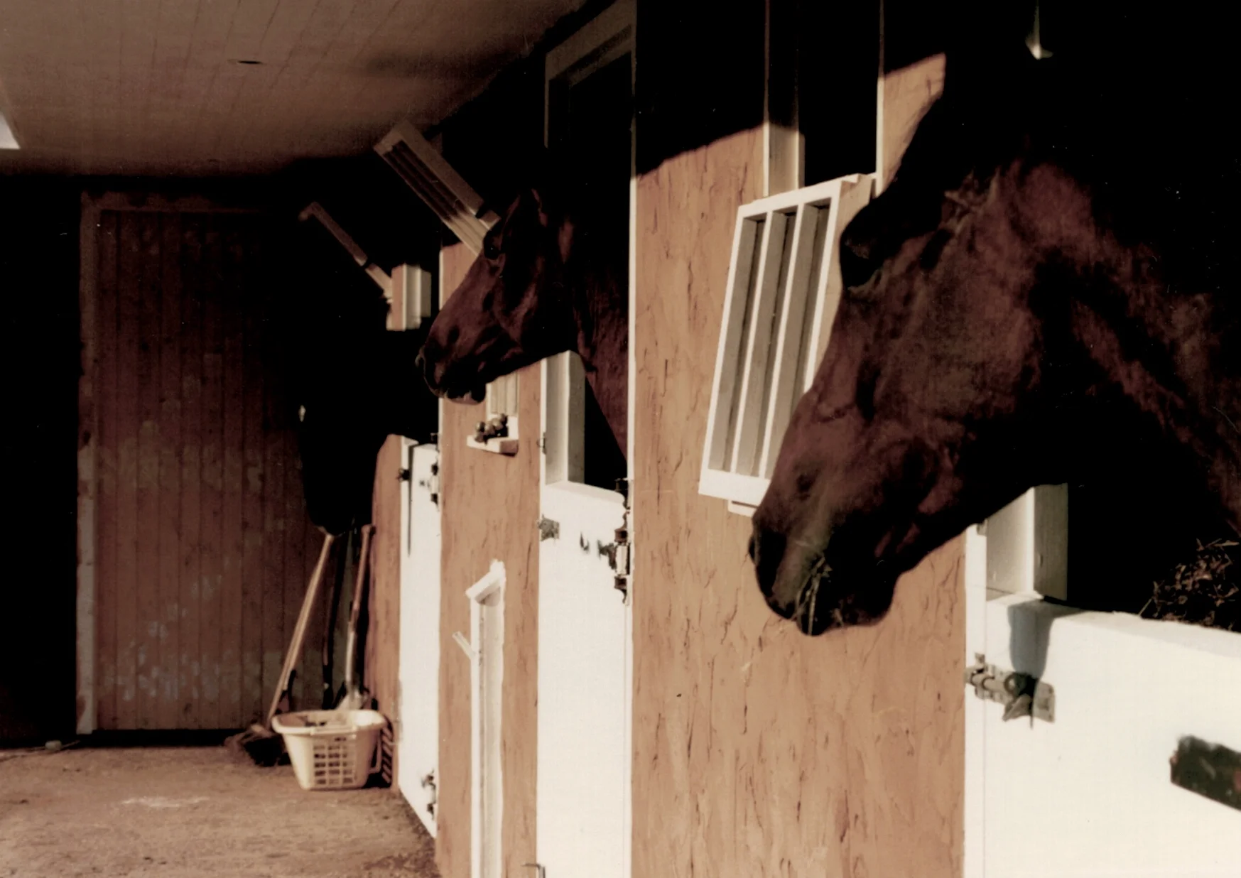 CCI14082017_66.jpg