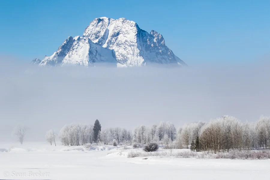 Mount Moran and Oxbows in the Fog