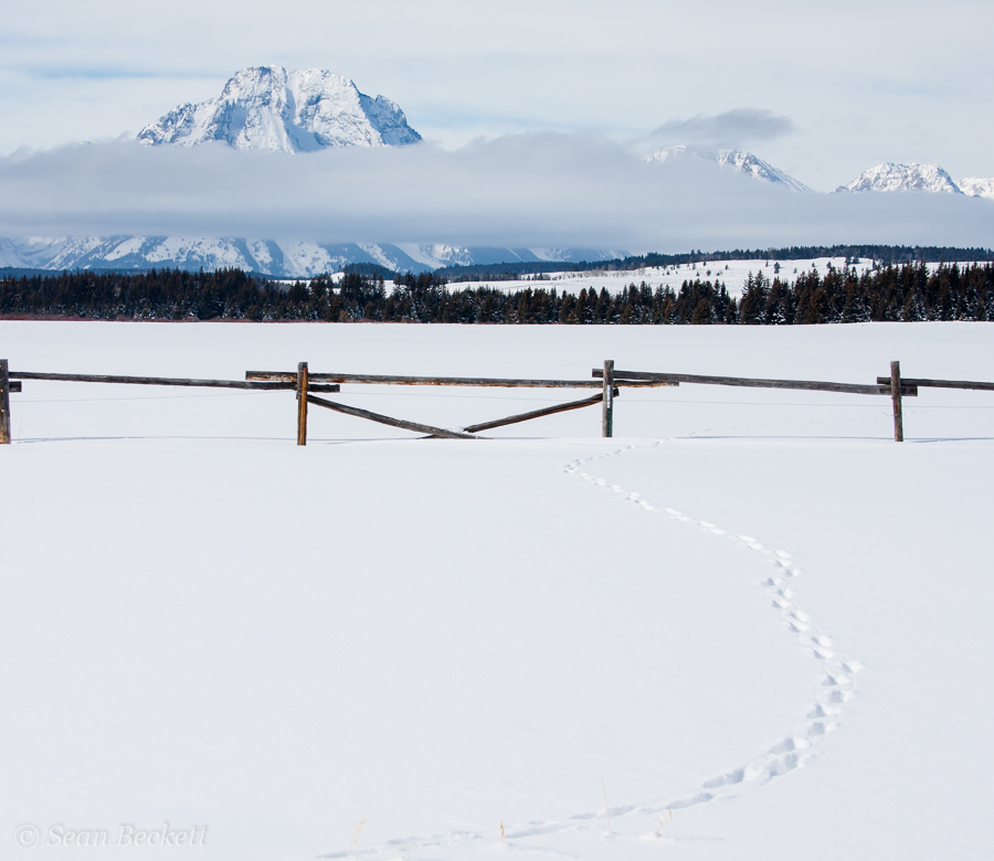 snowy mountain and wooden ranch fence