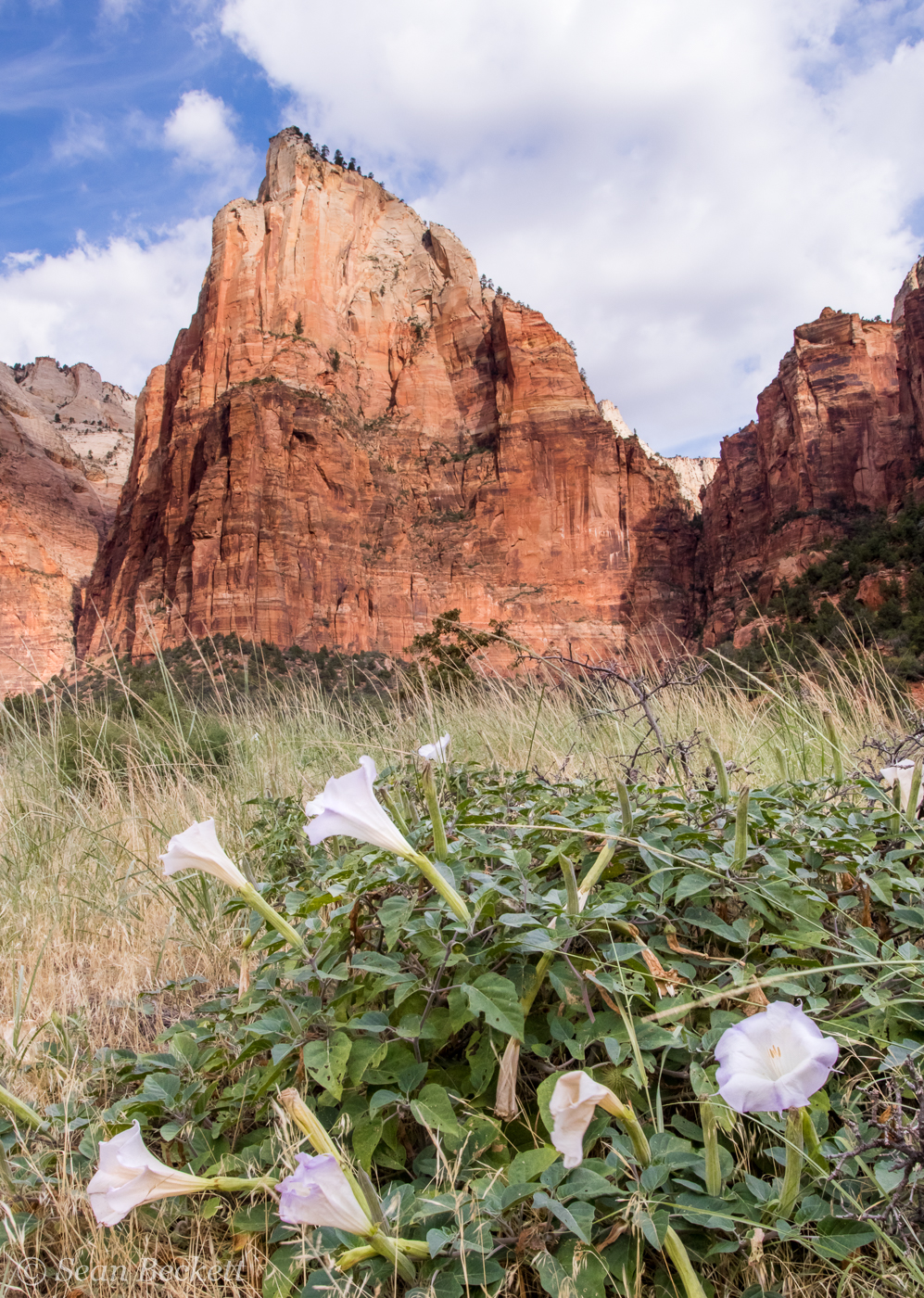 Southwest_Canyons_SB-10.jpg