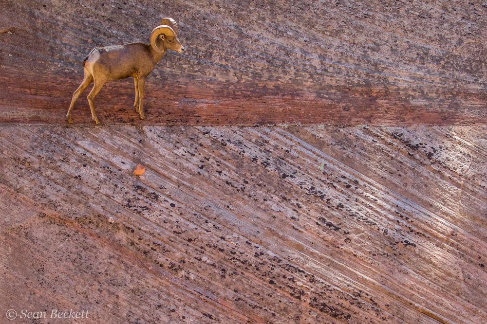 Southwest_Canyons_SB-17.jpg