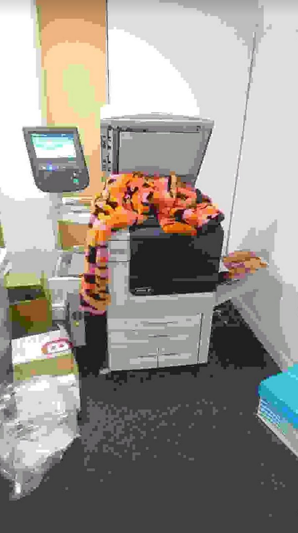 Screen Shot 2018-03-19 at 01.28.02.png