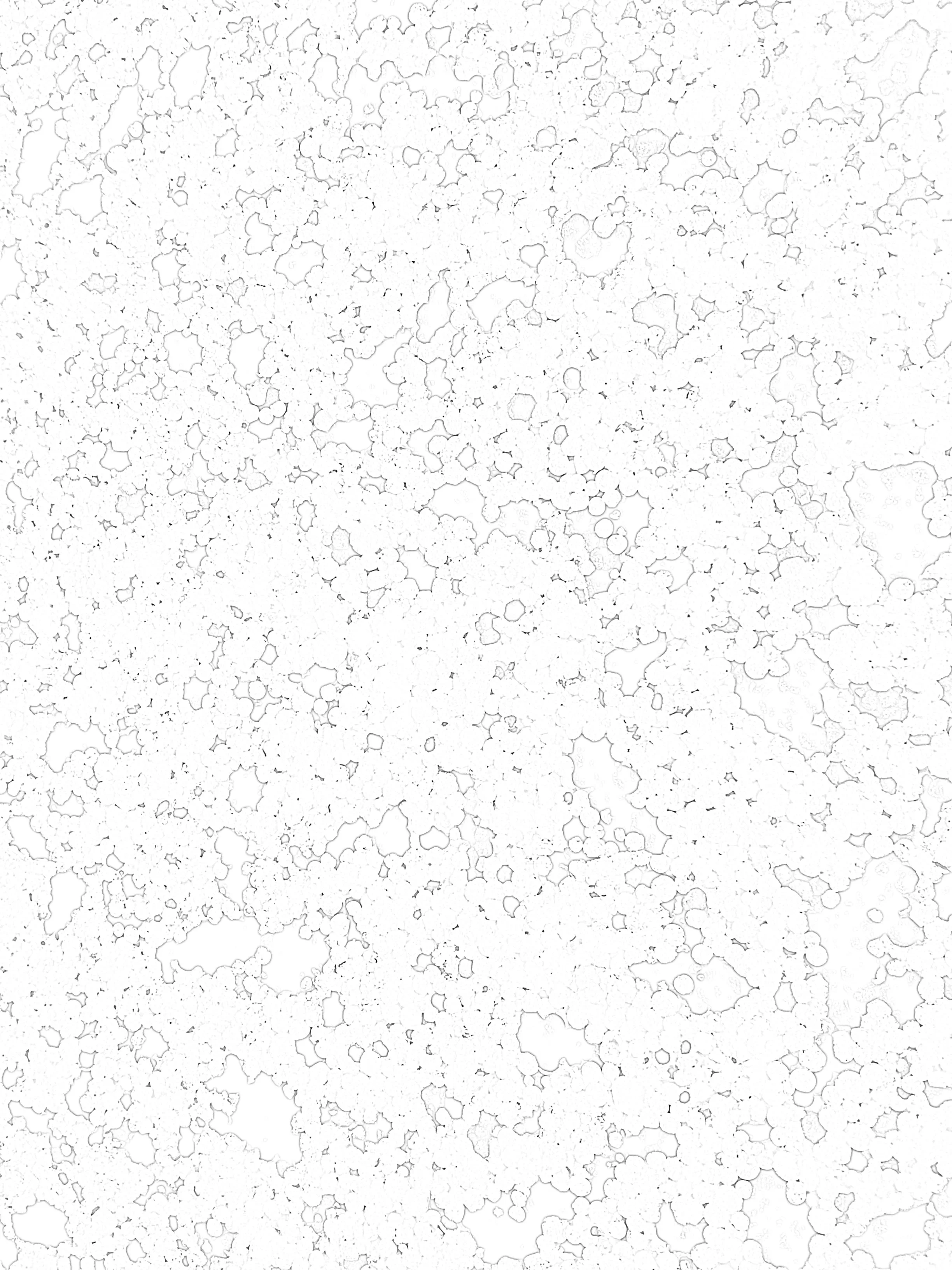 SWINGTICKET M&S_BAS.jpg