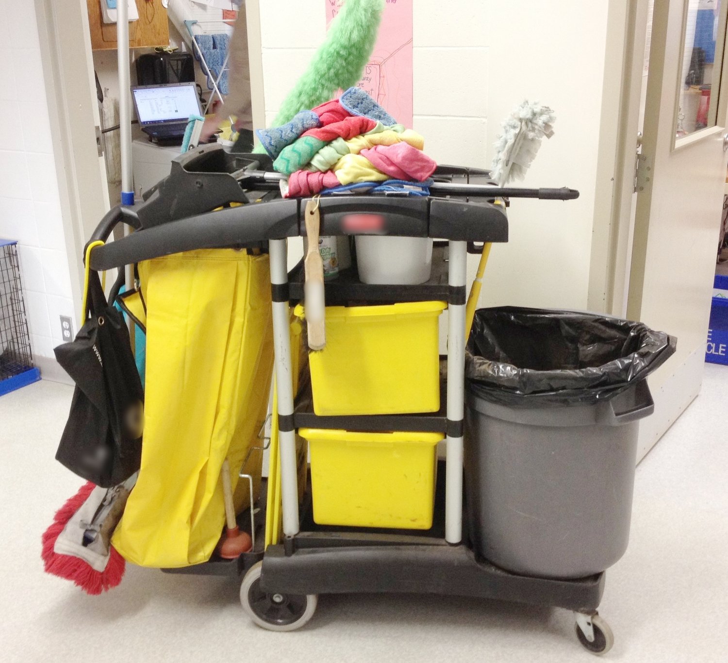 Environmental Services