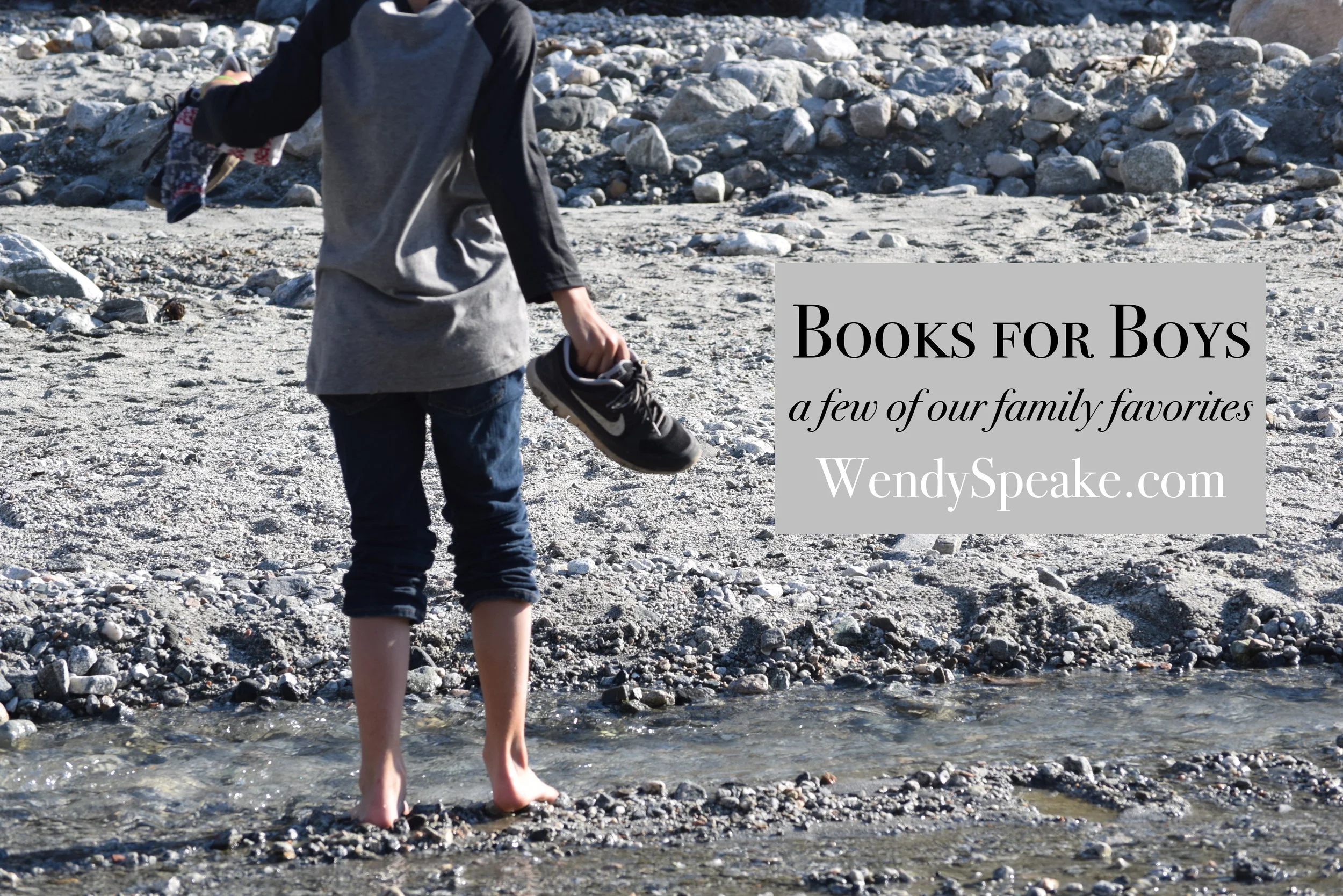 booksforboys-graphic.jpeg