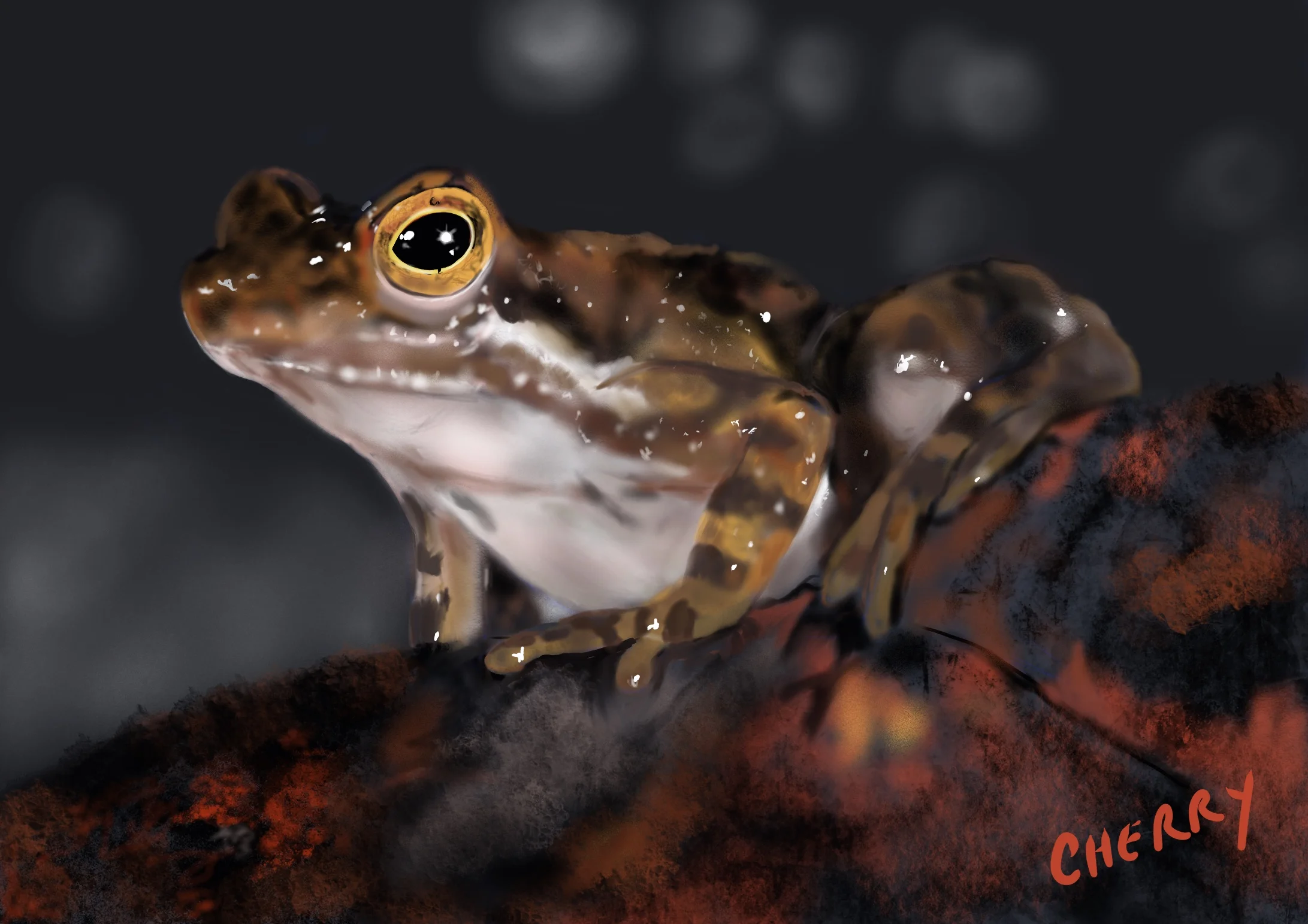 Tinker_Frog.jpg