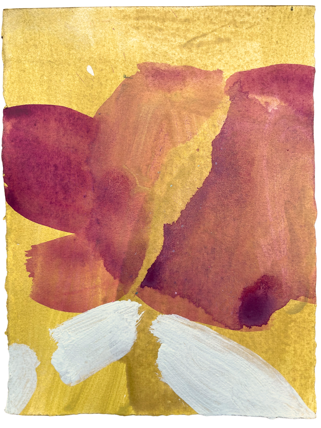 FS Ochre.png
