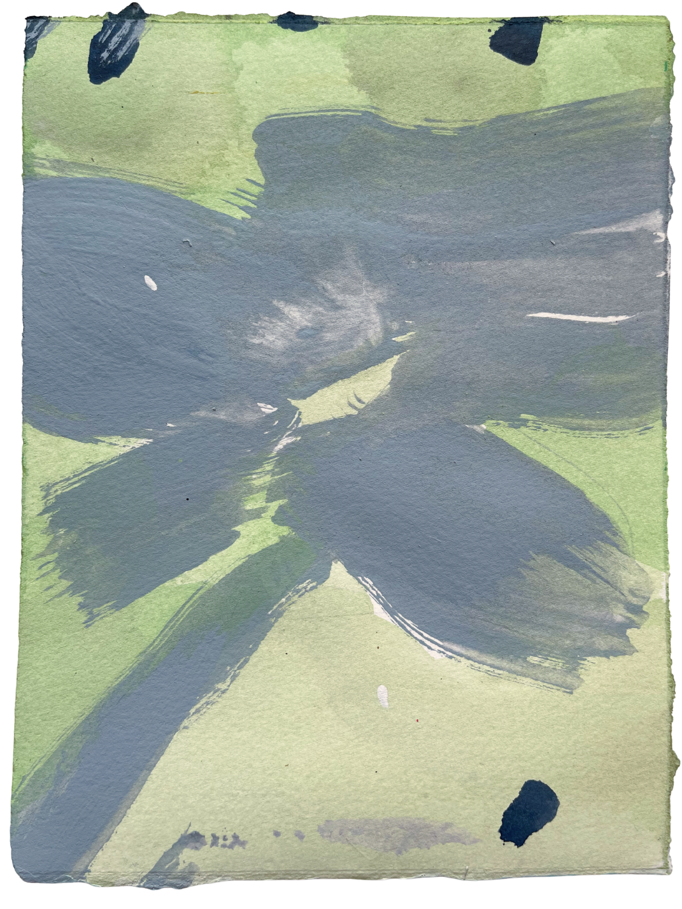FS Sea Bloom.png
