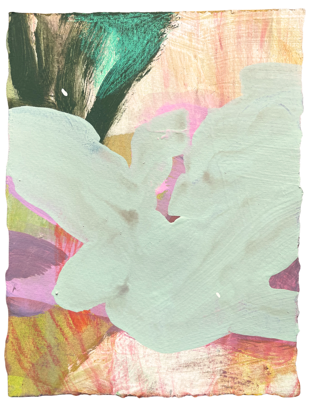 FS Softie (2).png